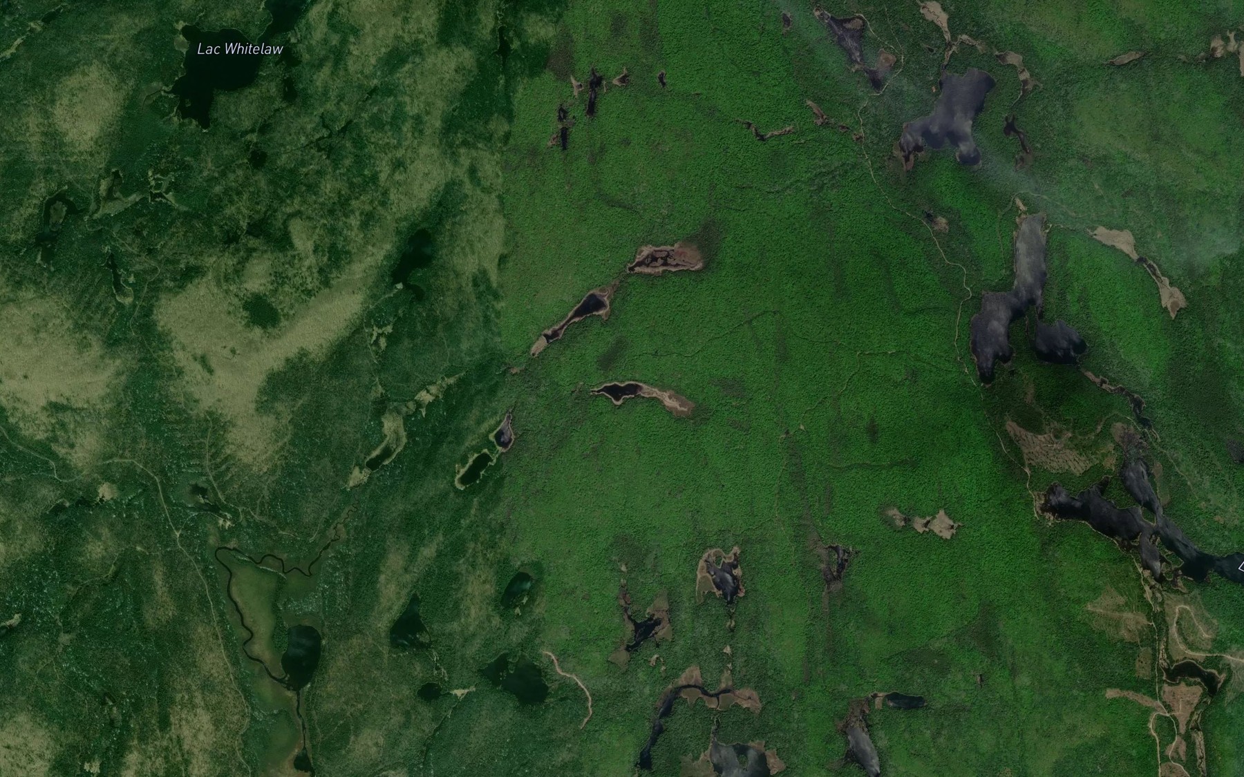 Satellite map of the Lac de la Courbe