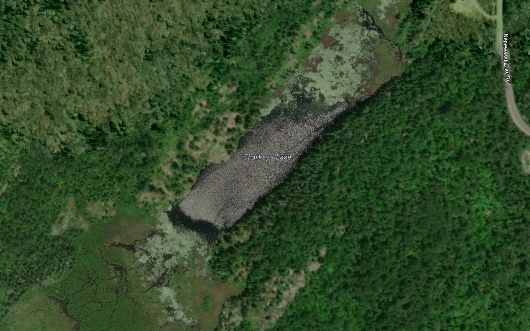 Satellite map of the Sharkey's Lake