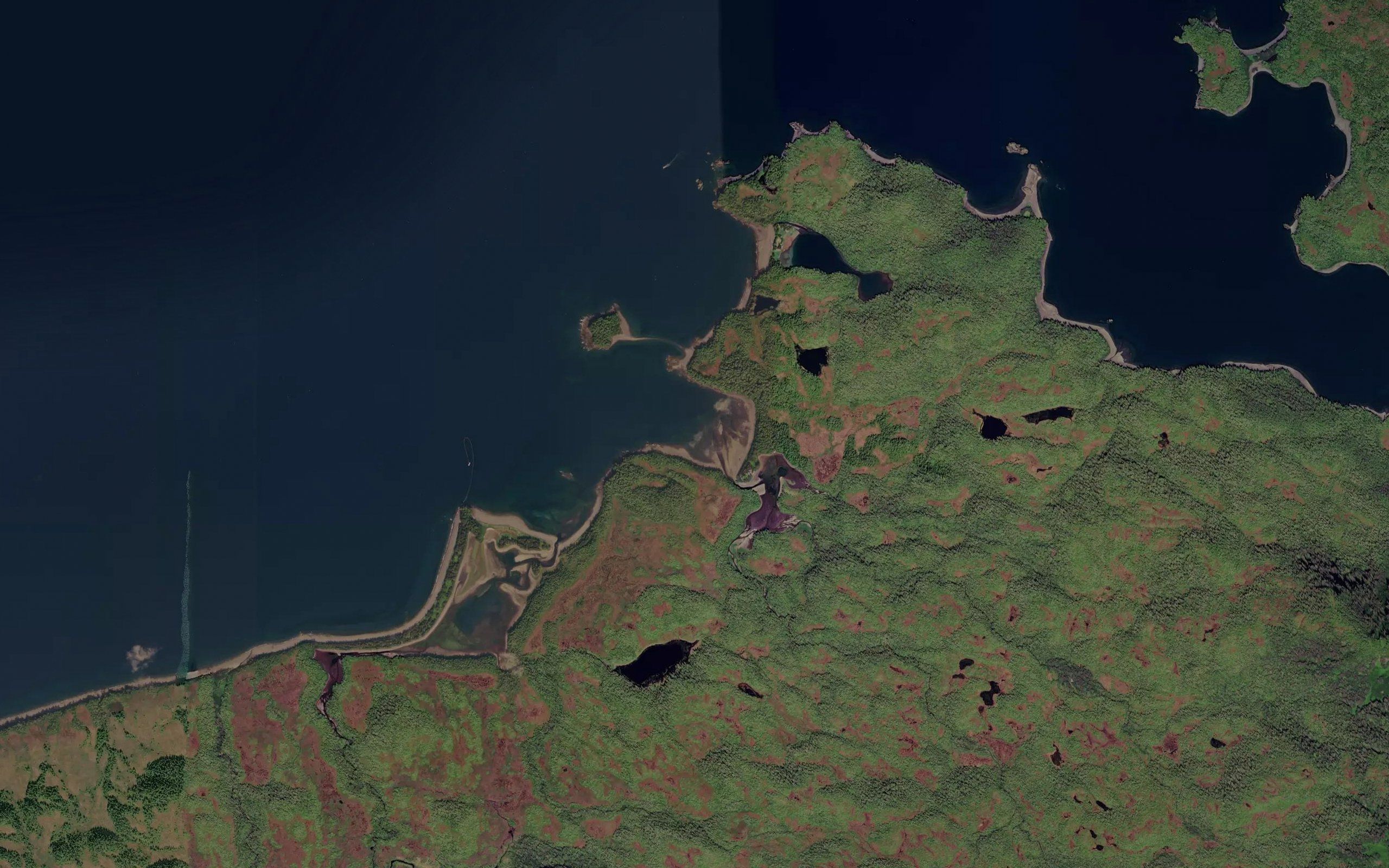 Cedar Bay