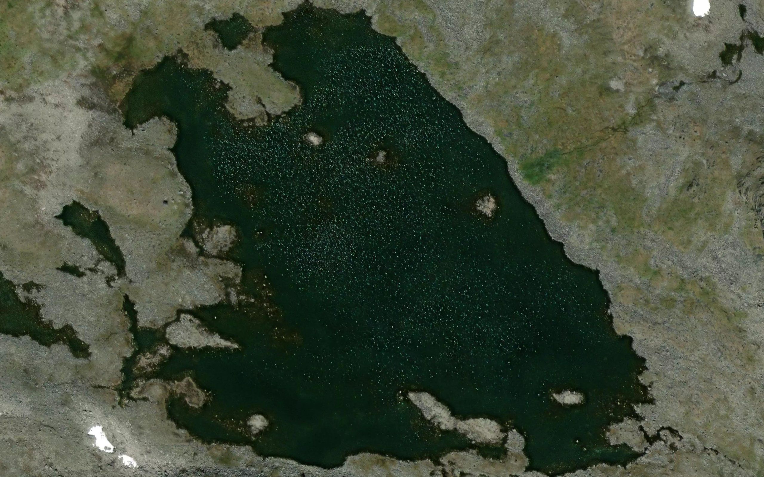 Mosaryggtjernet