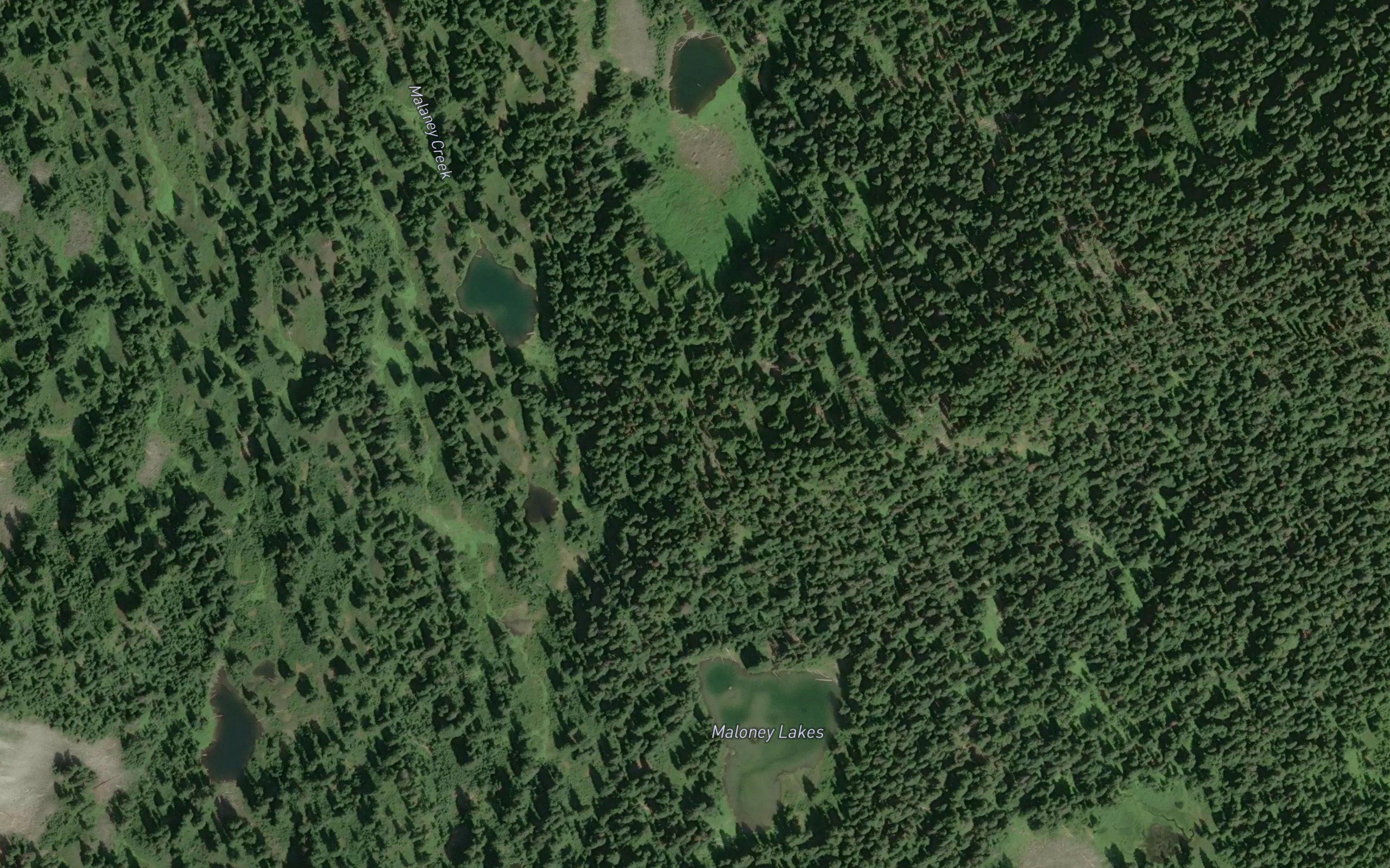 Maloney Lakes