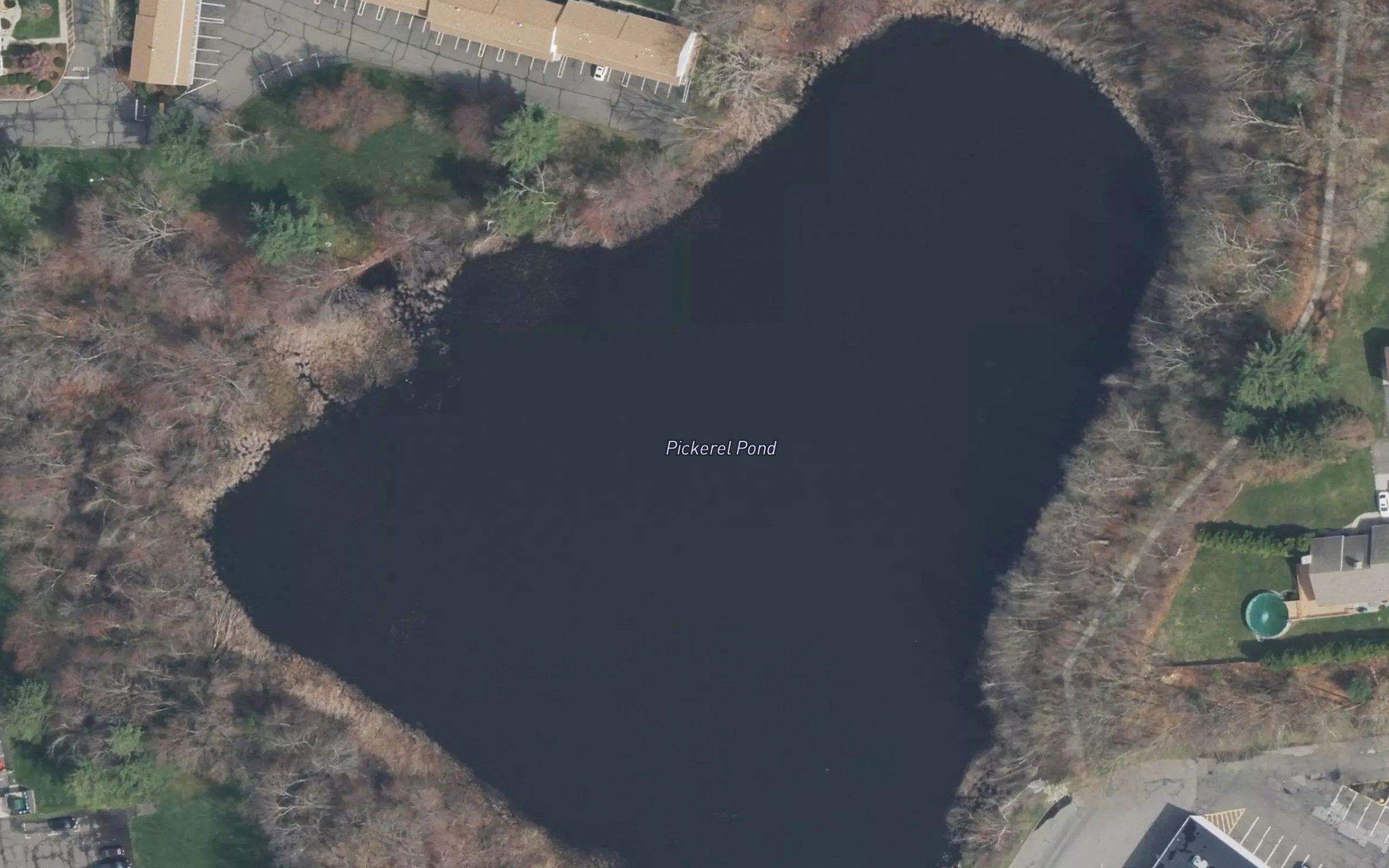 Pickerel Pond