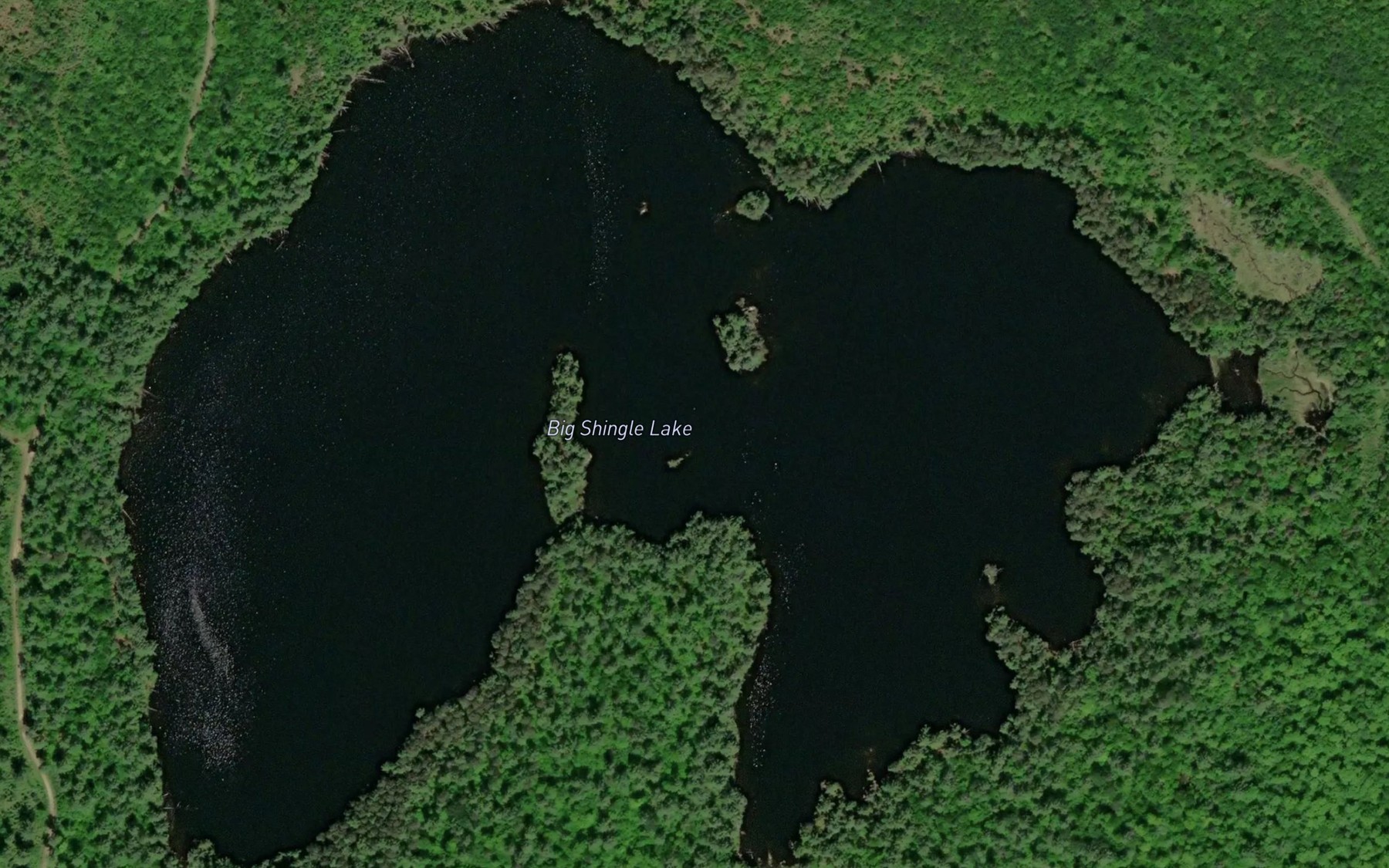 Satellite map of the Big Shingle Lake