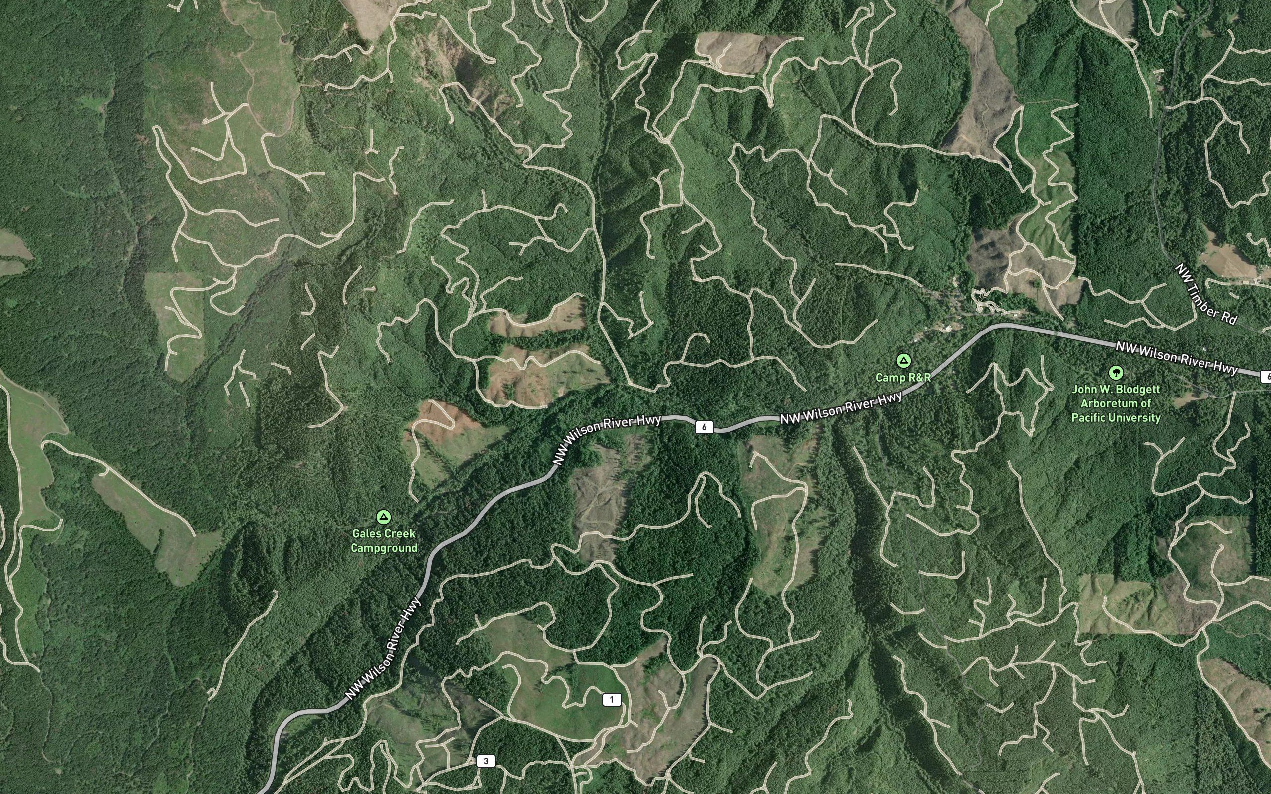 North Fork Gales Creek