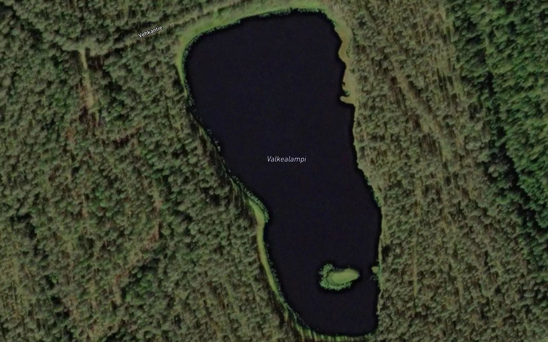 Satellite map of the Valkealampi