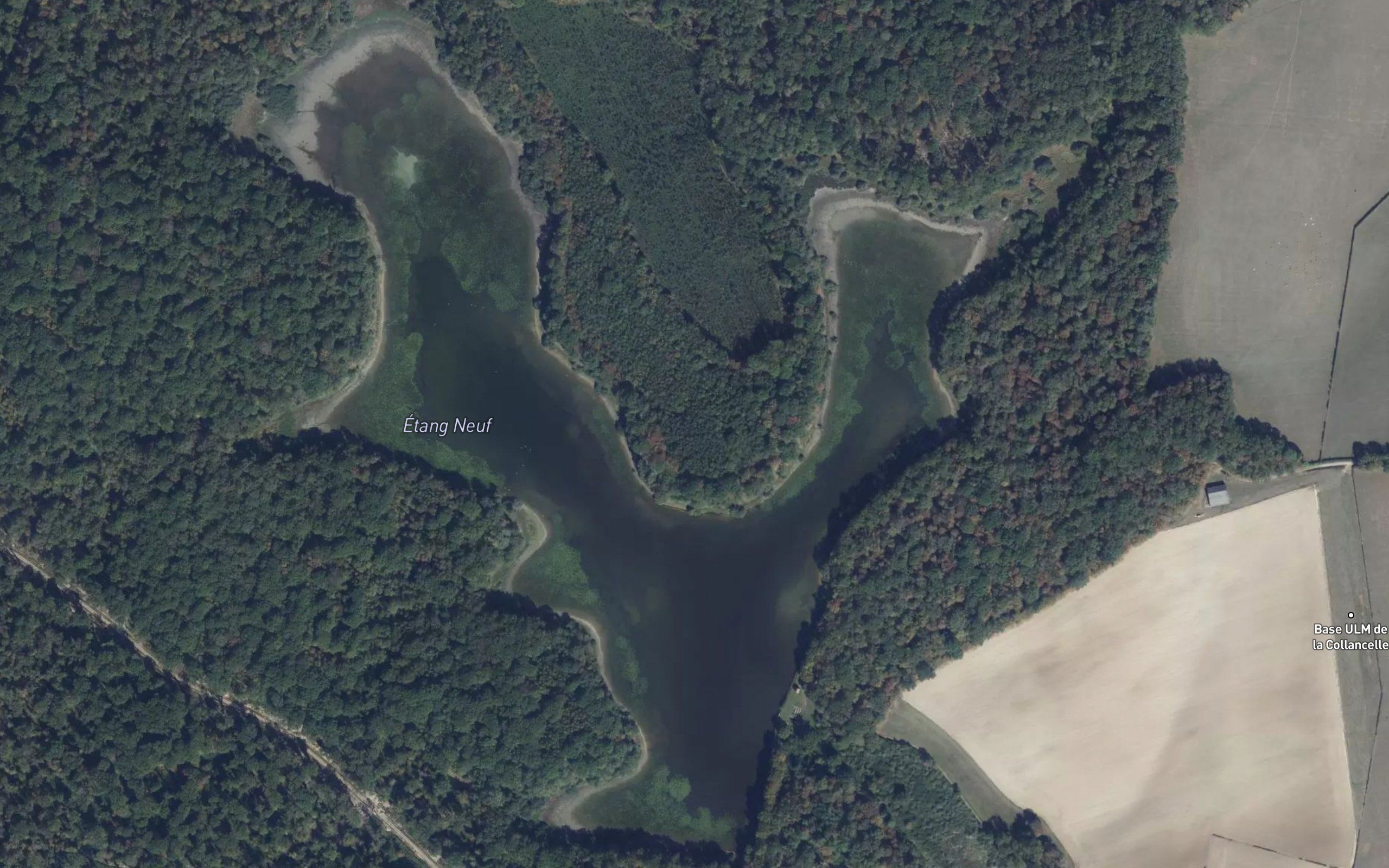 Etang Neuf