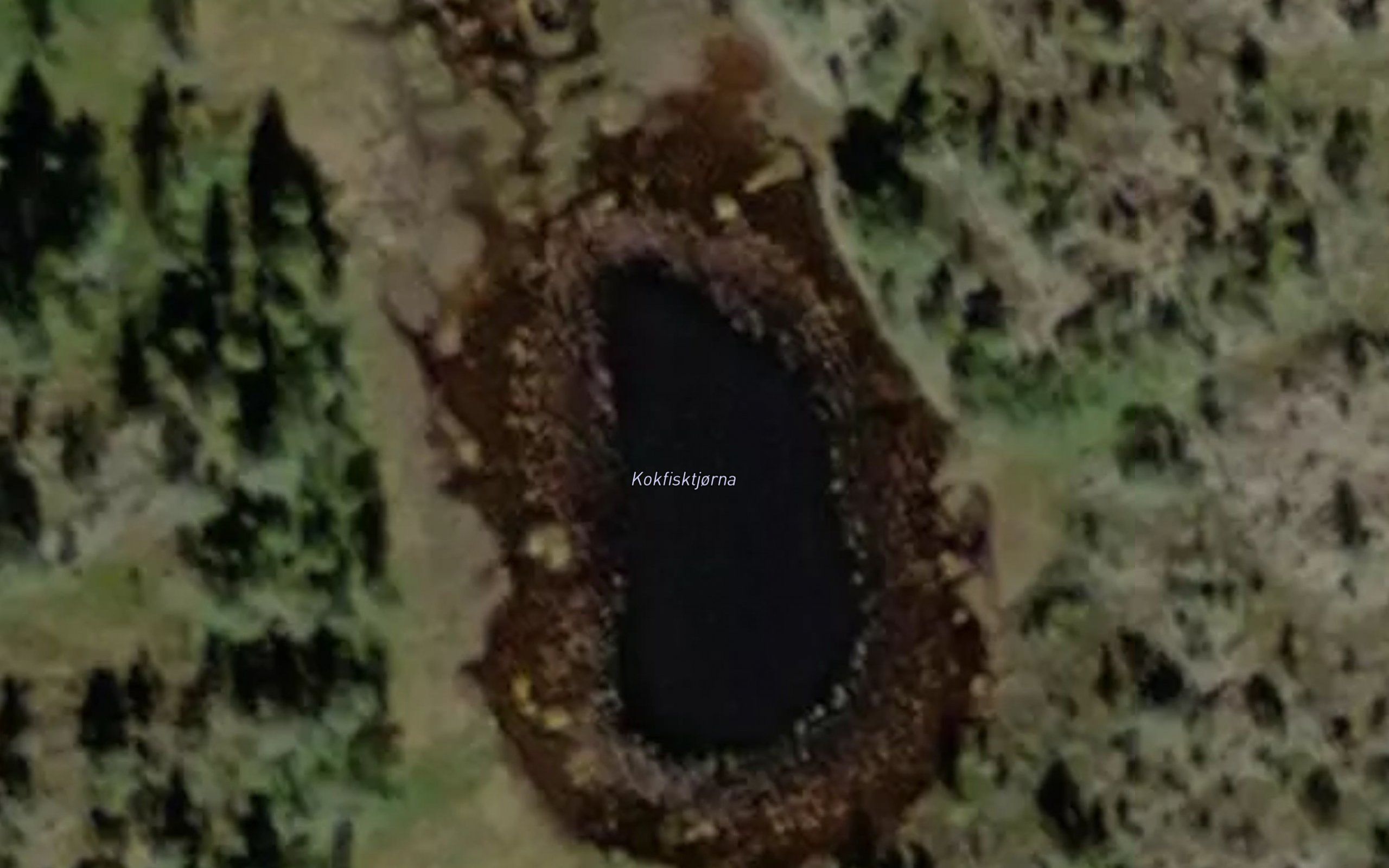 Kokfisktjorna