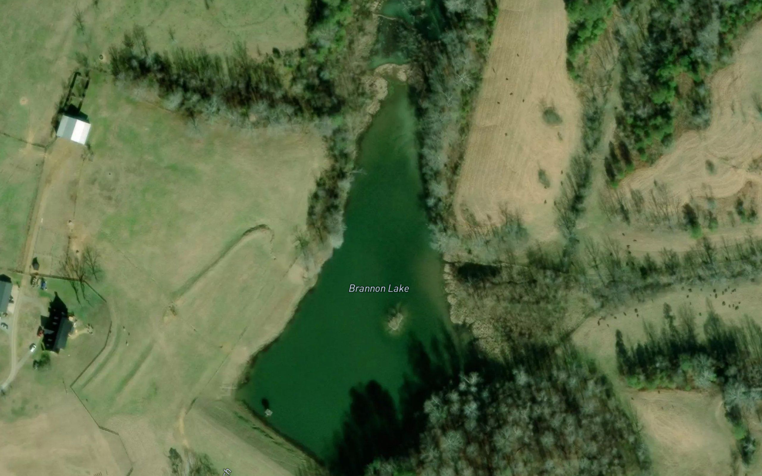 Brannon Lake