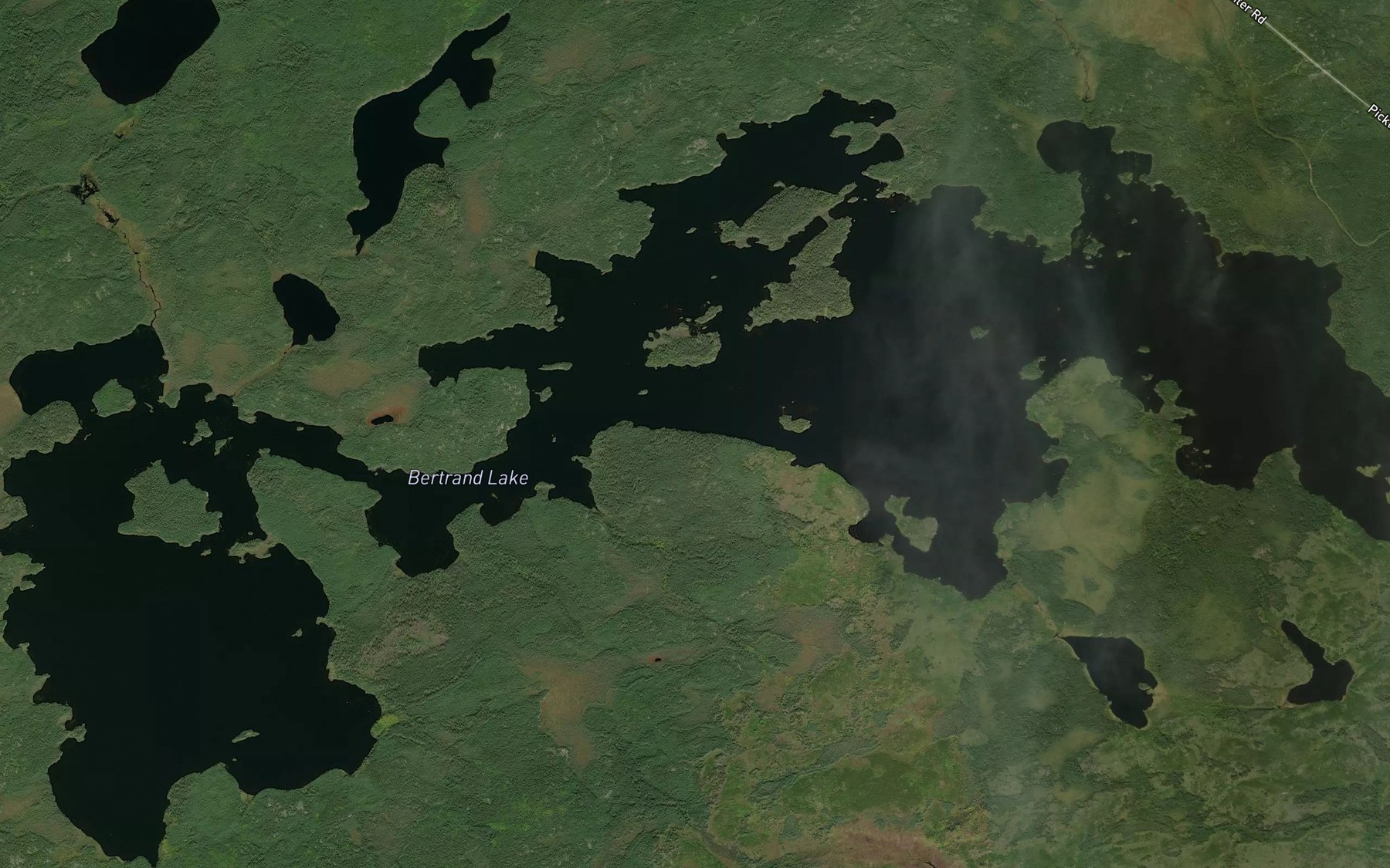Satellite map of the Bertrand Lake