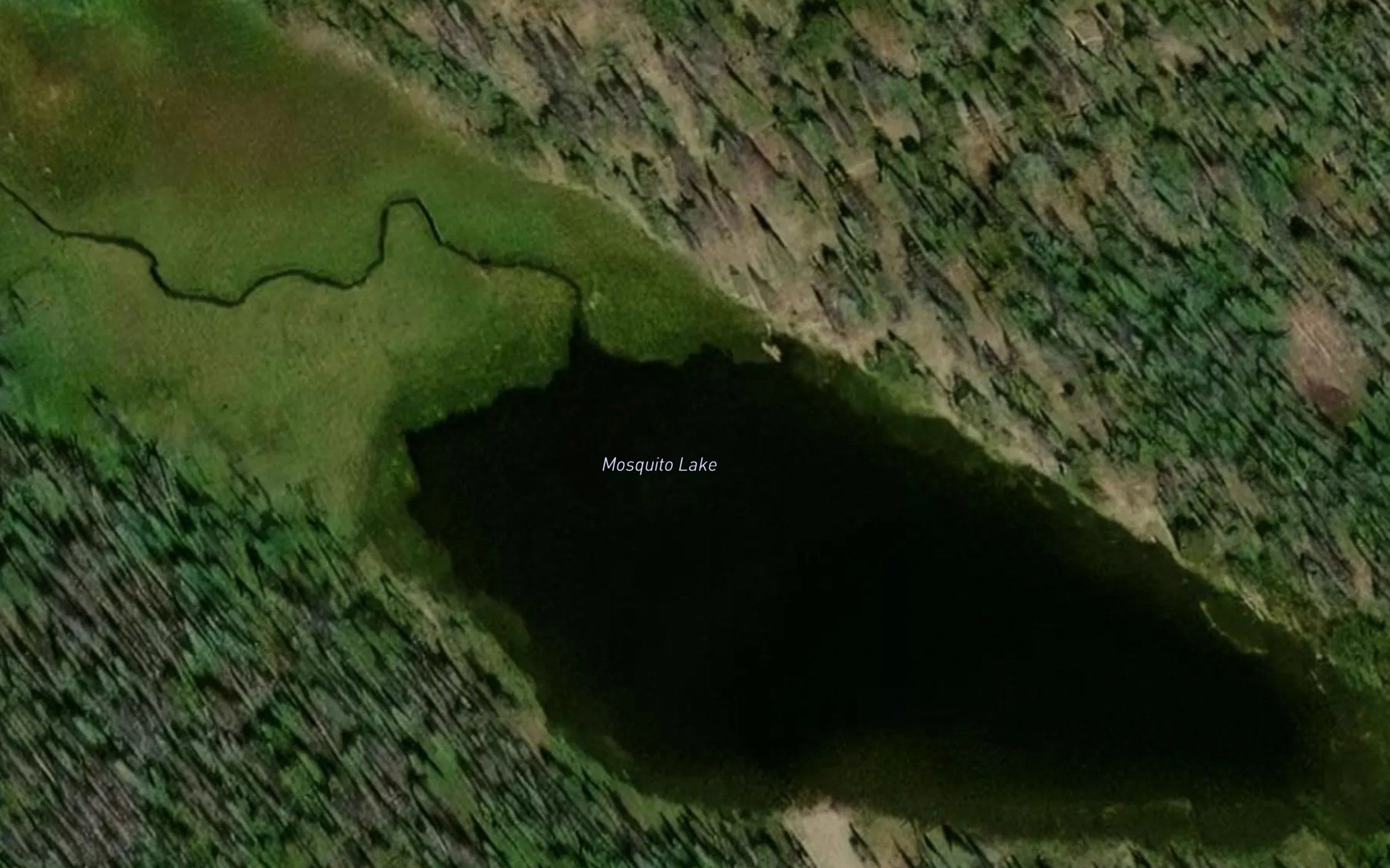 Mosquito Lake