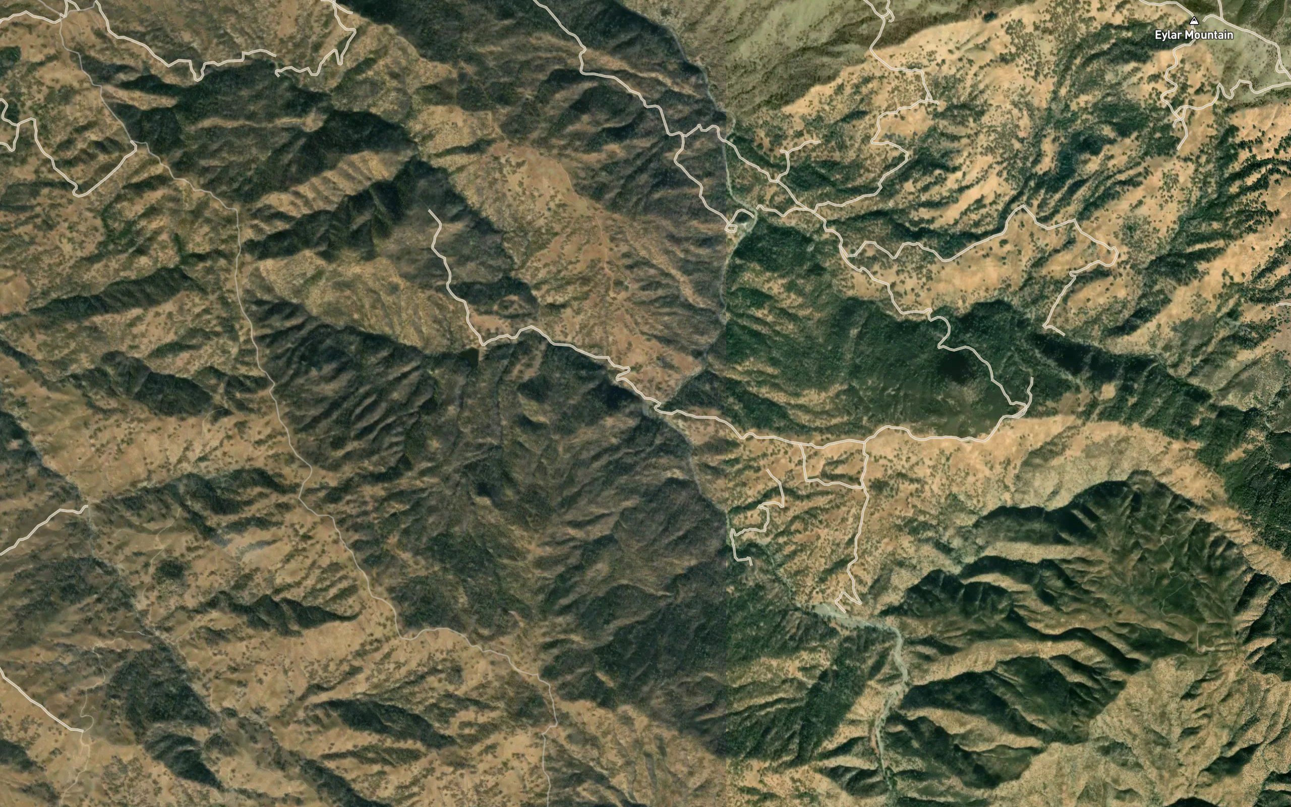 Sycamore Creek