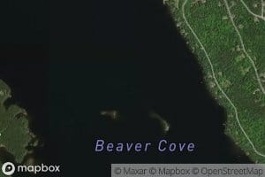 Beaver Cove