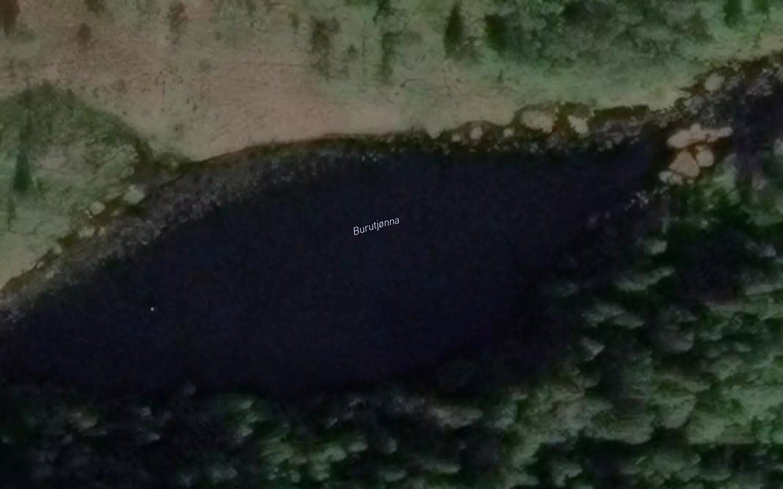 Burutjorna
