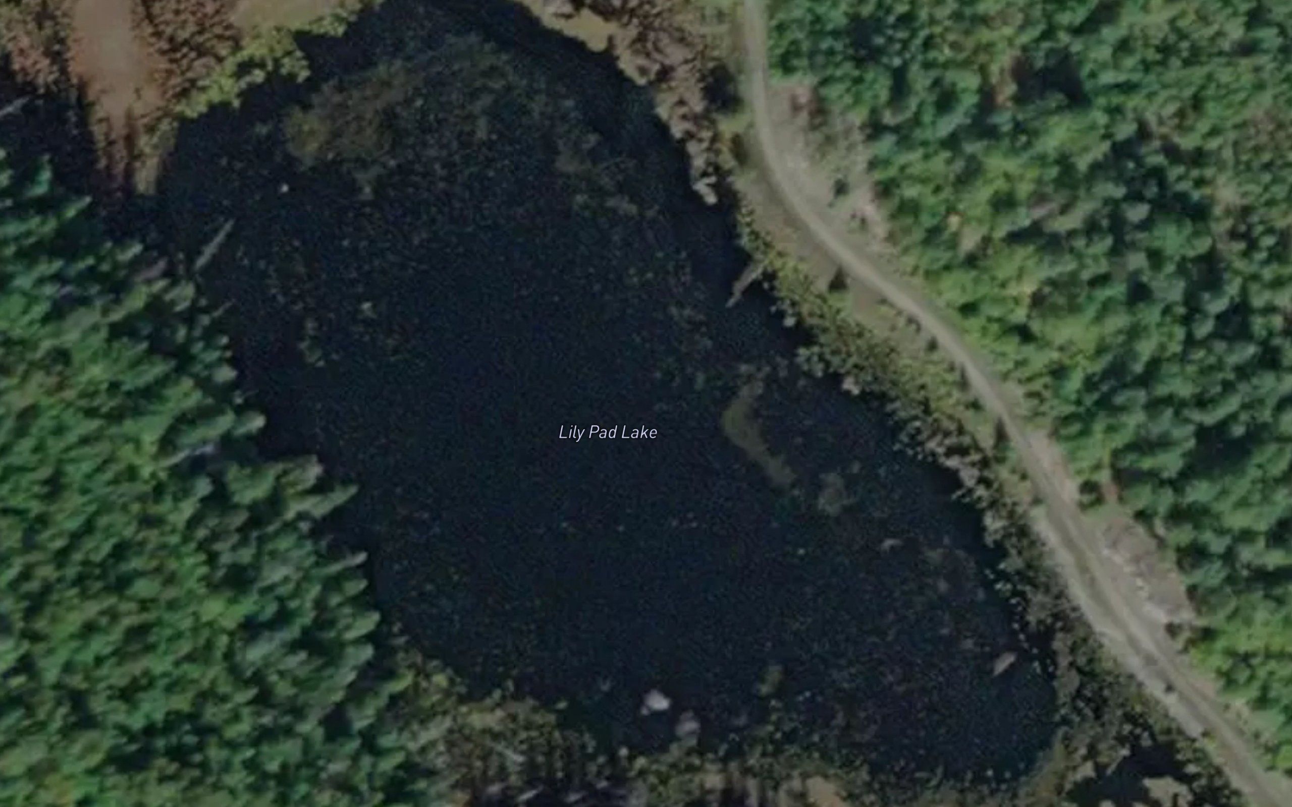 Lily Pad Lake