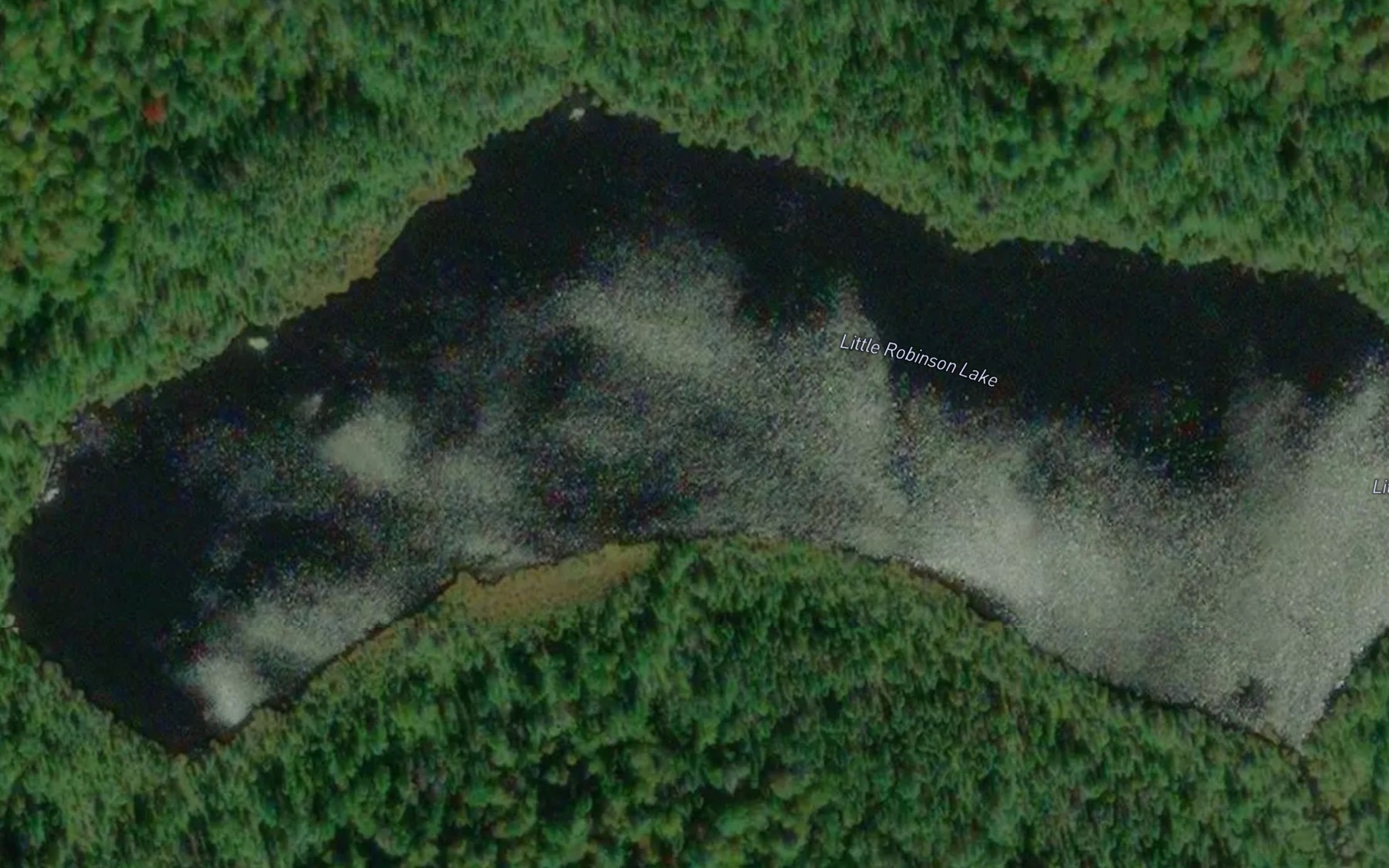 Satellite map of the Little Robinson Lake