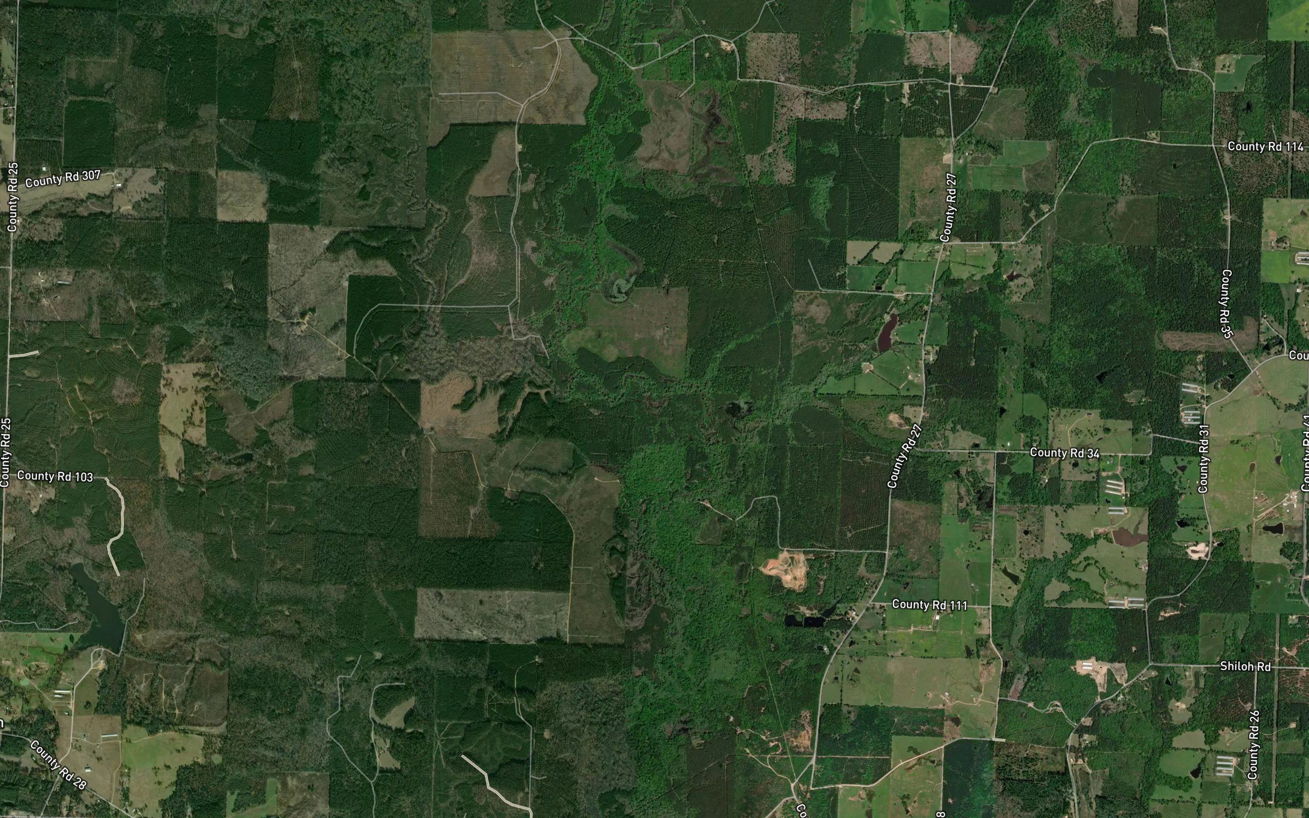 Davis Branch