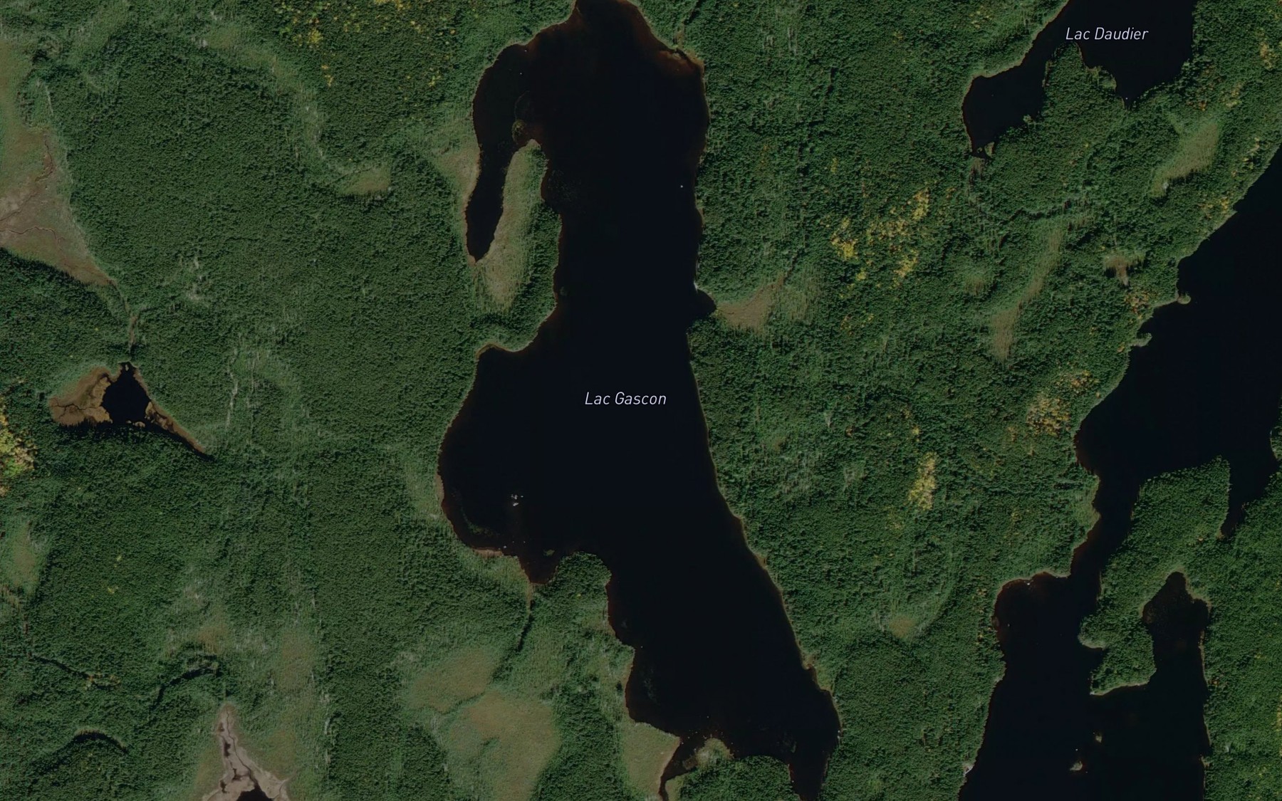 Satellite map of the Lac Gascon
