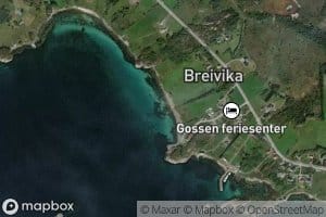 Breivika