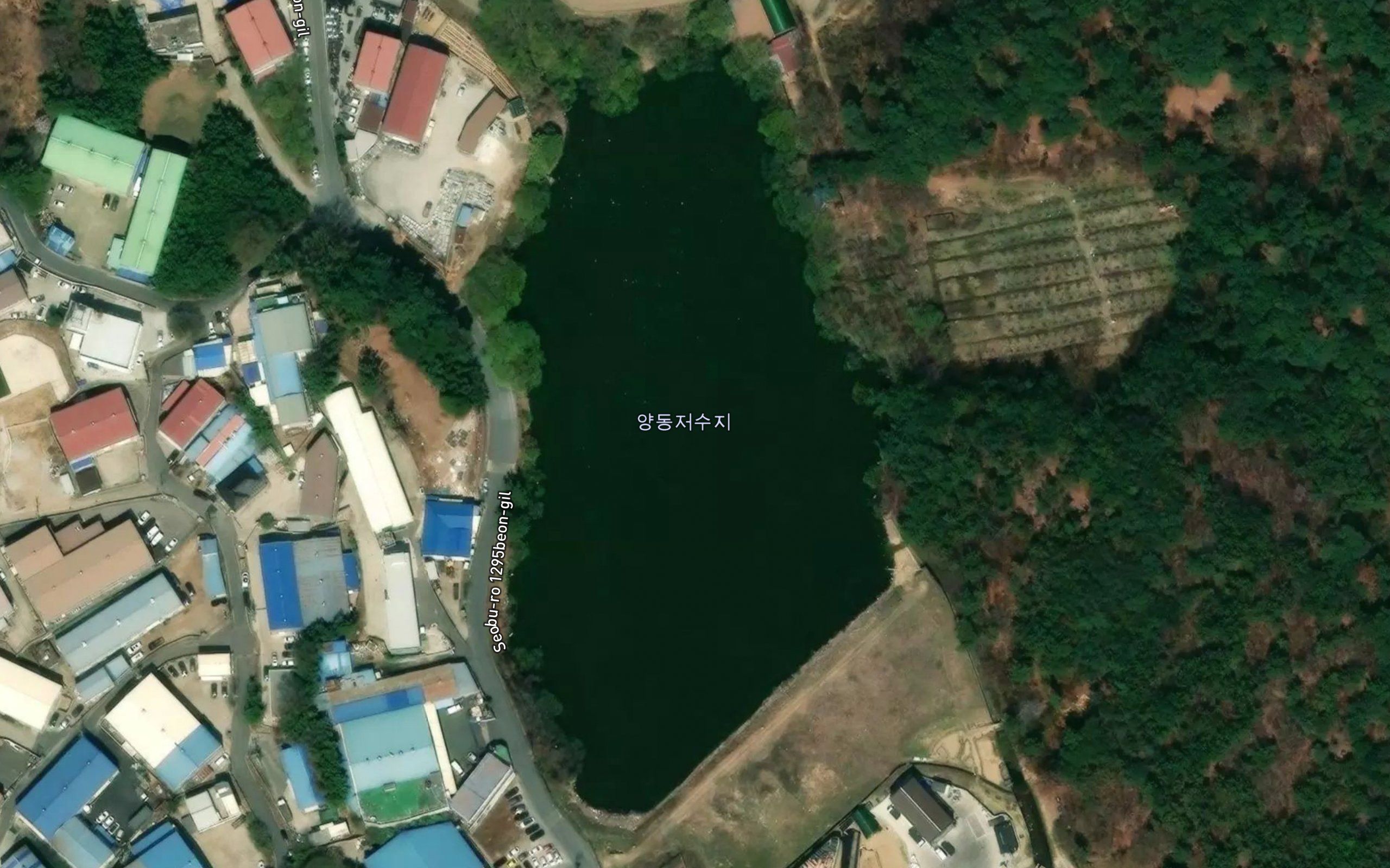 Yangdongjageunjeosuji