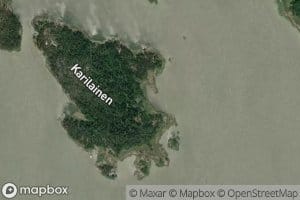 Ladonpuhti