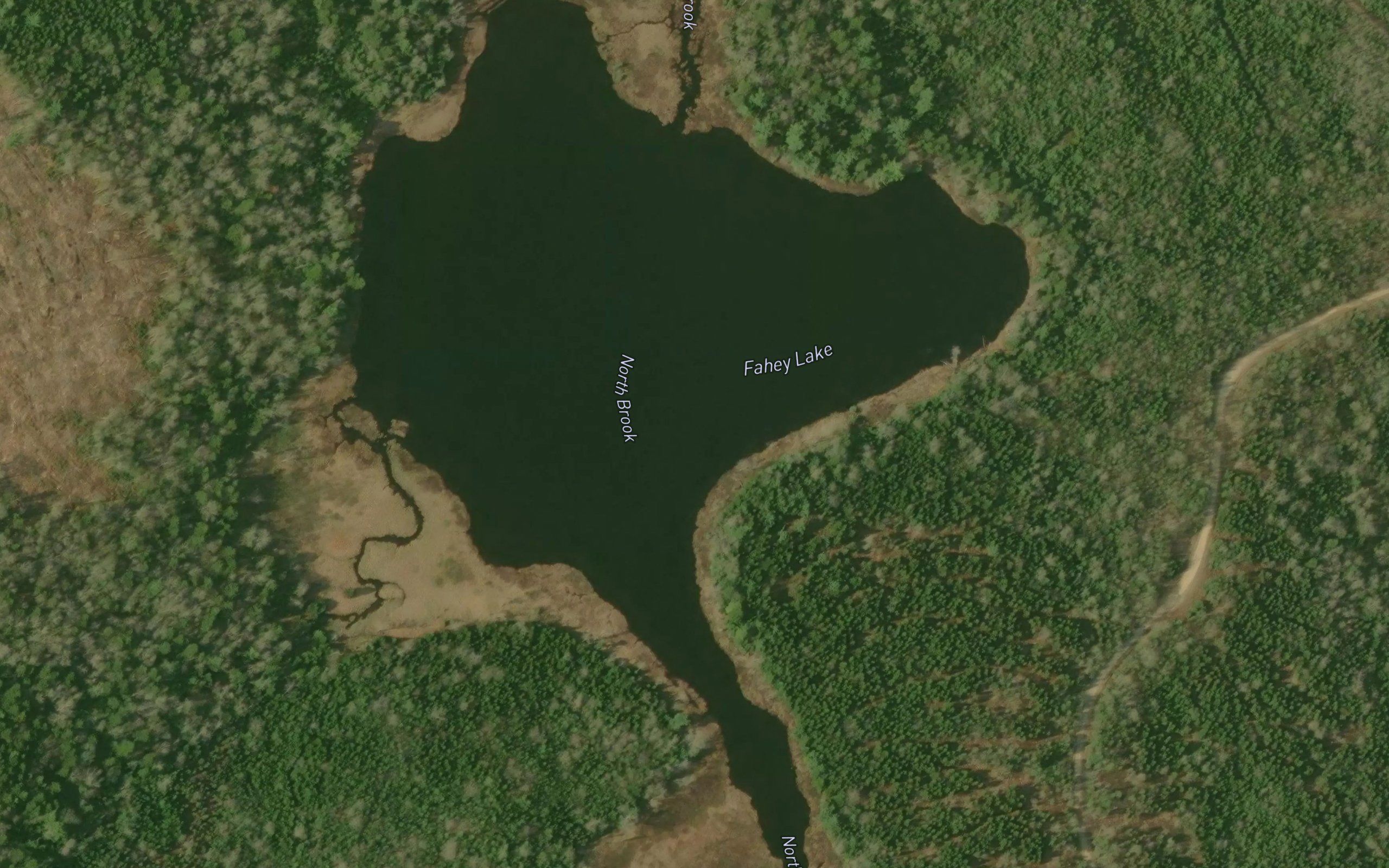 Fahey Lake
