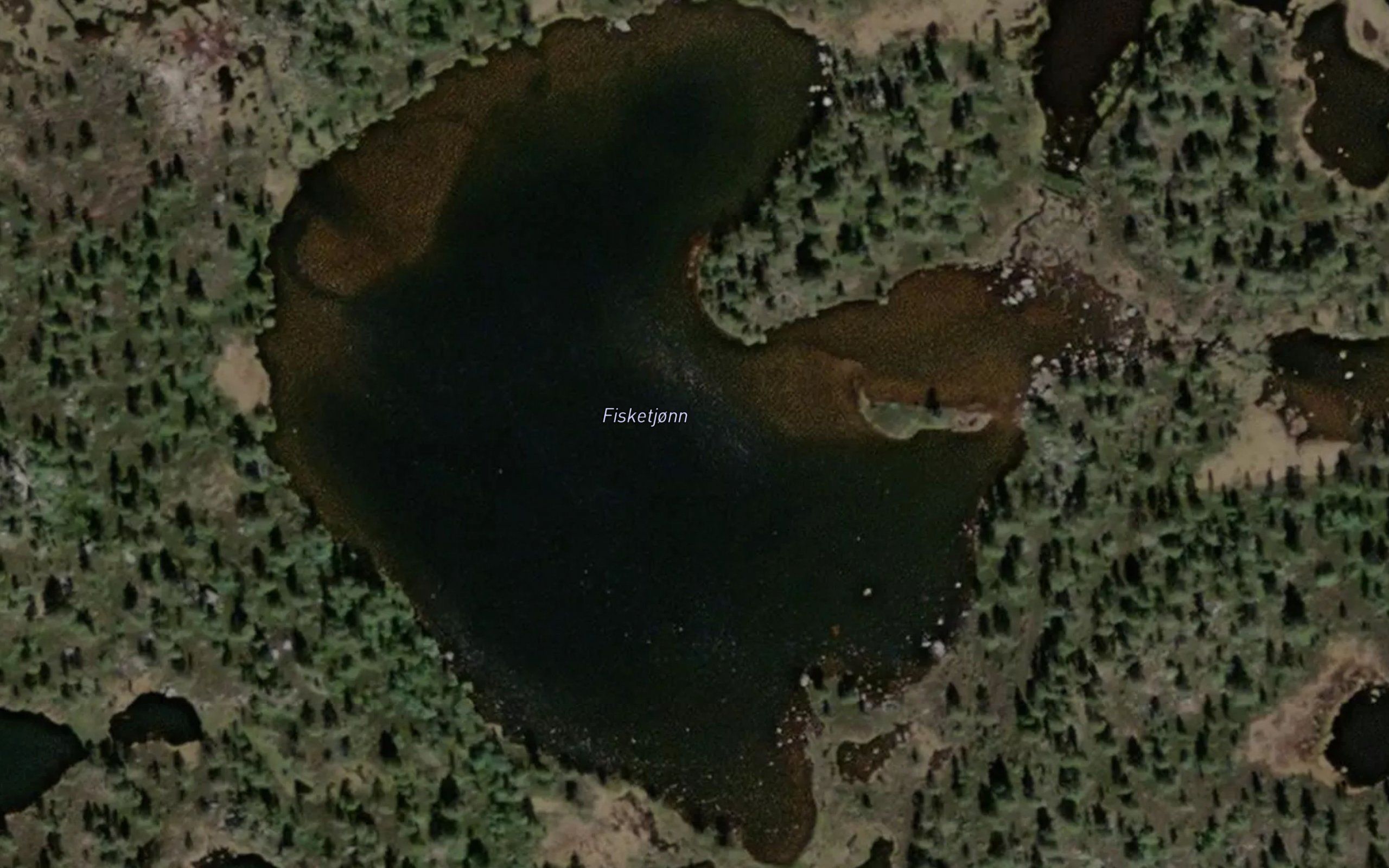 Fisketjorn