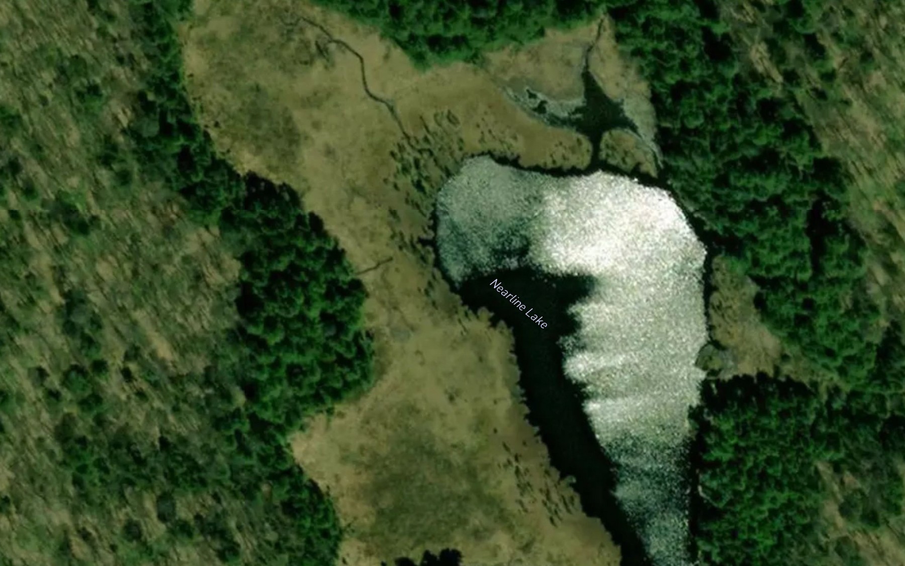Satellite map of the Nearline Lake