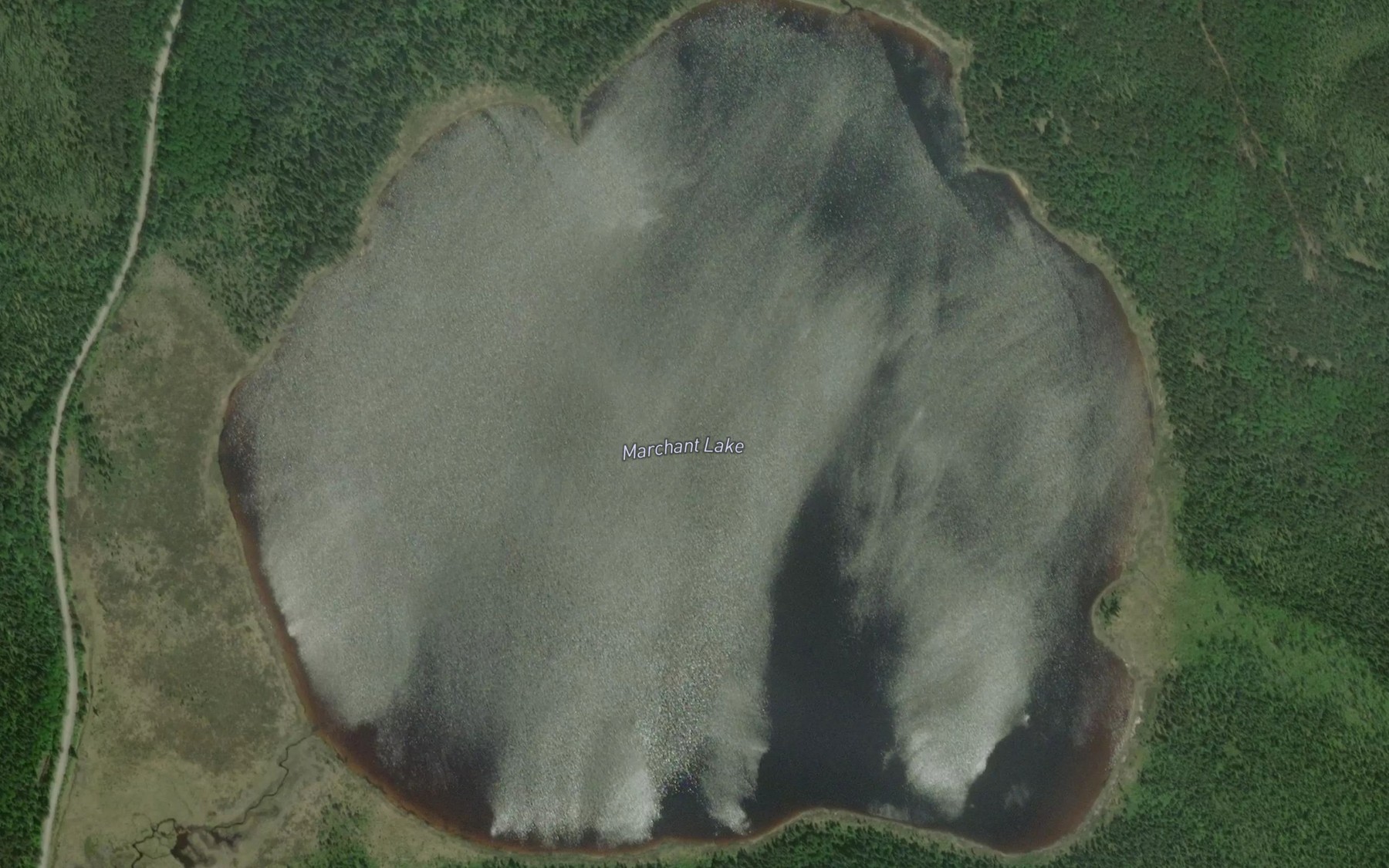 Satellite map of the Marchant Lake