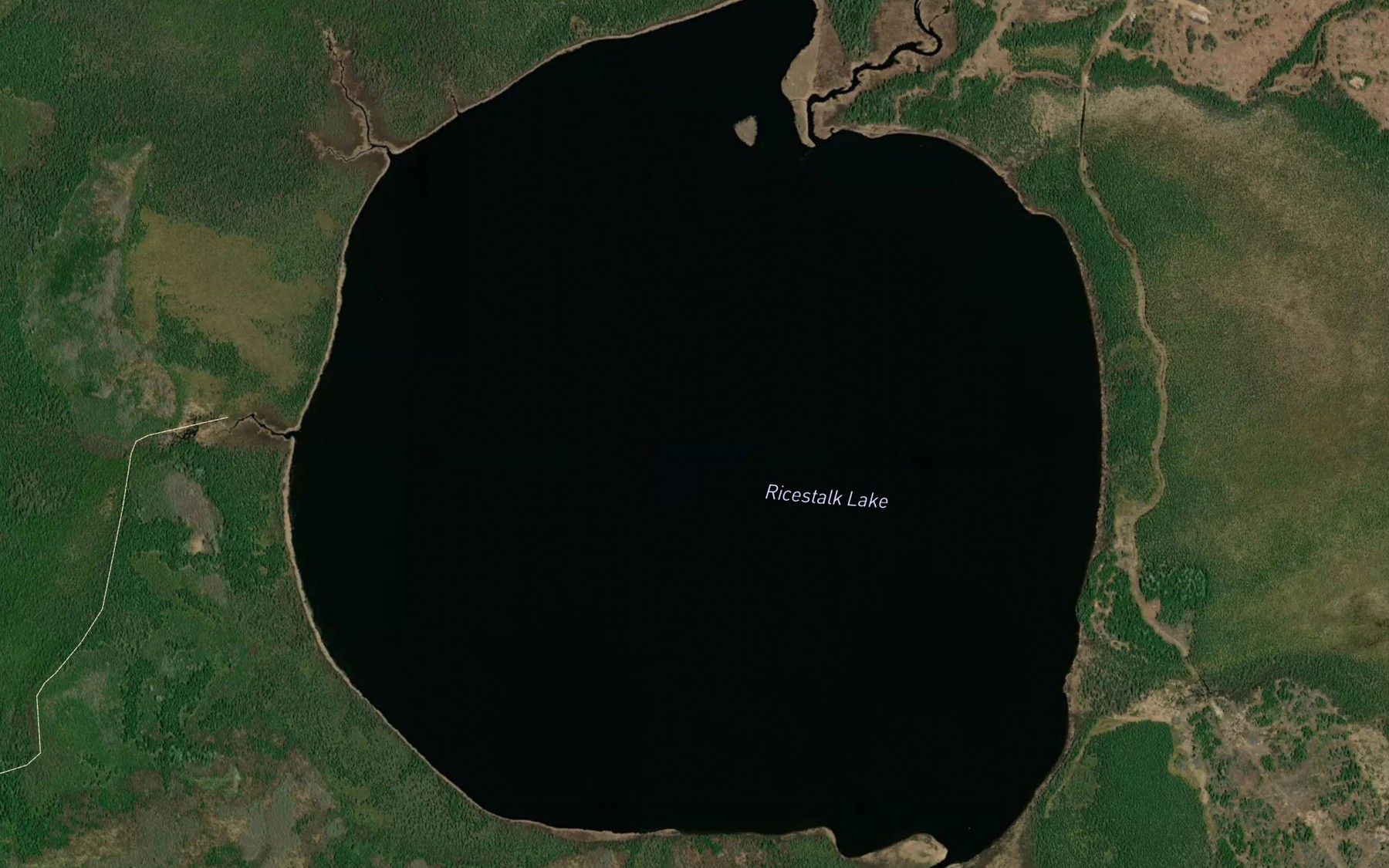 Satellite map of the Ricestalk Lake