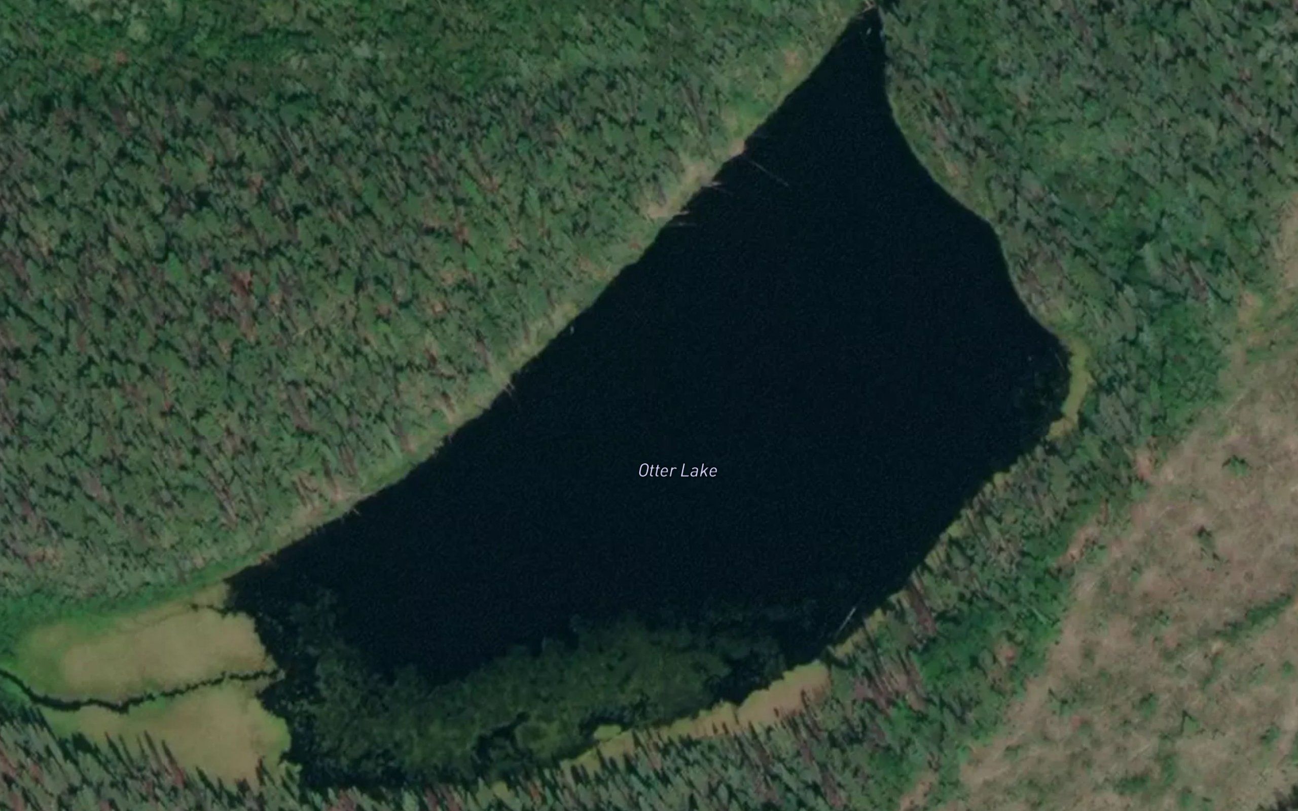 Otter Lake