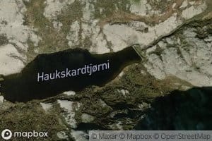 Haukskardtjorni