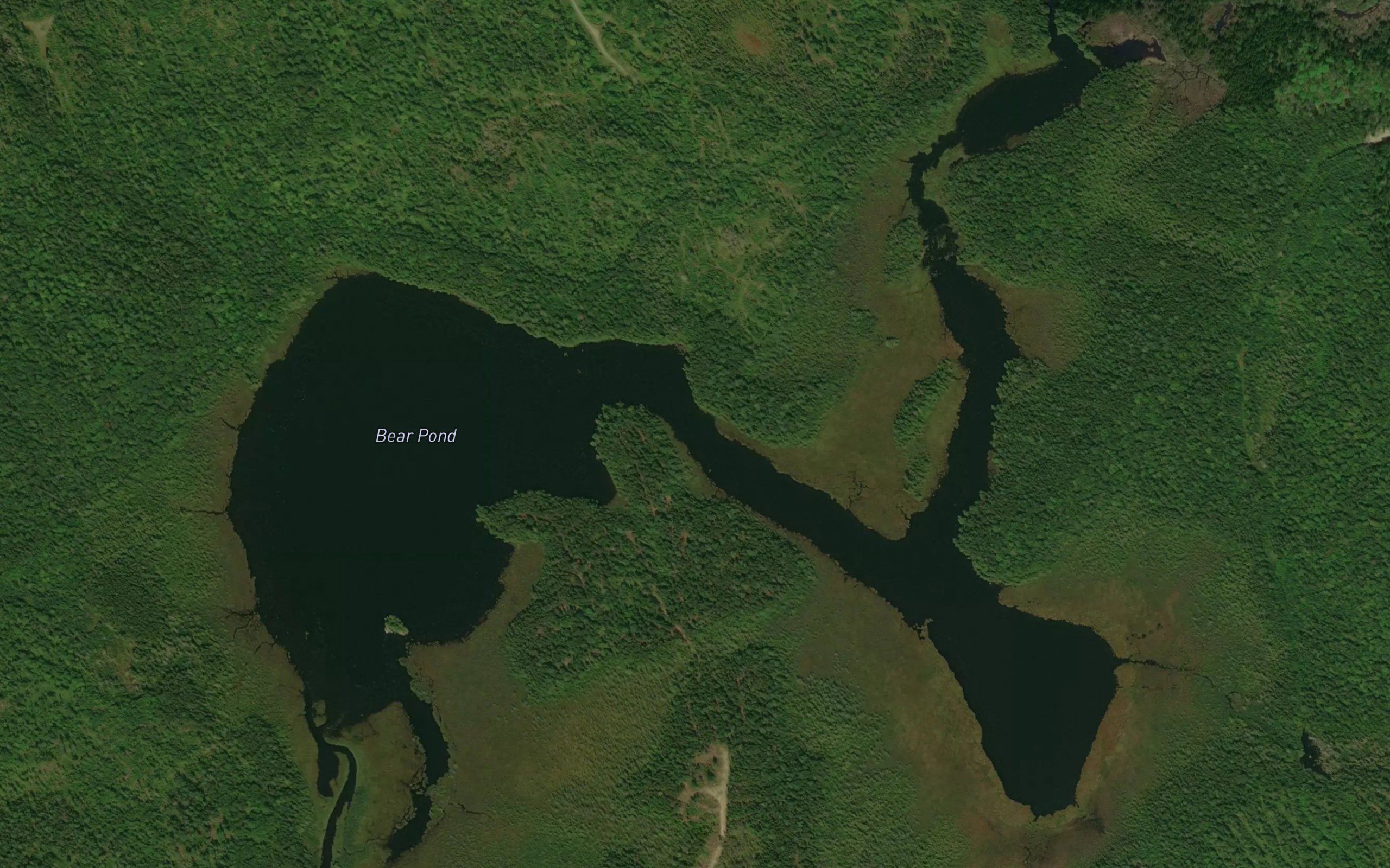 Bear Pond