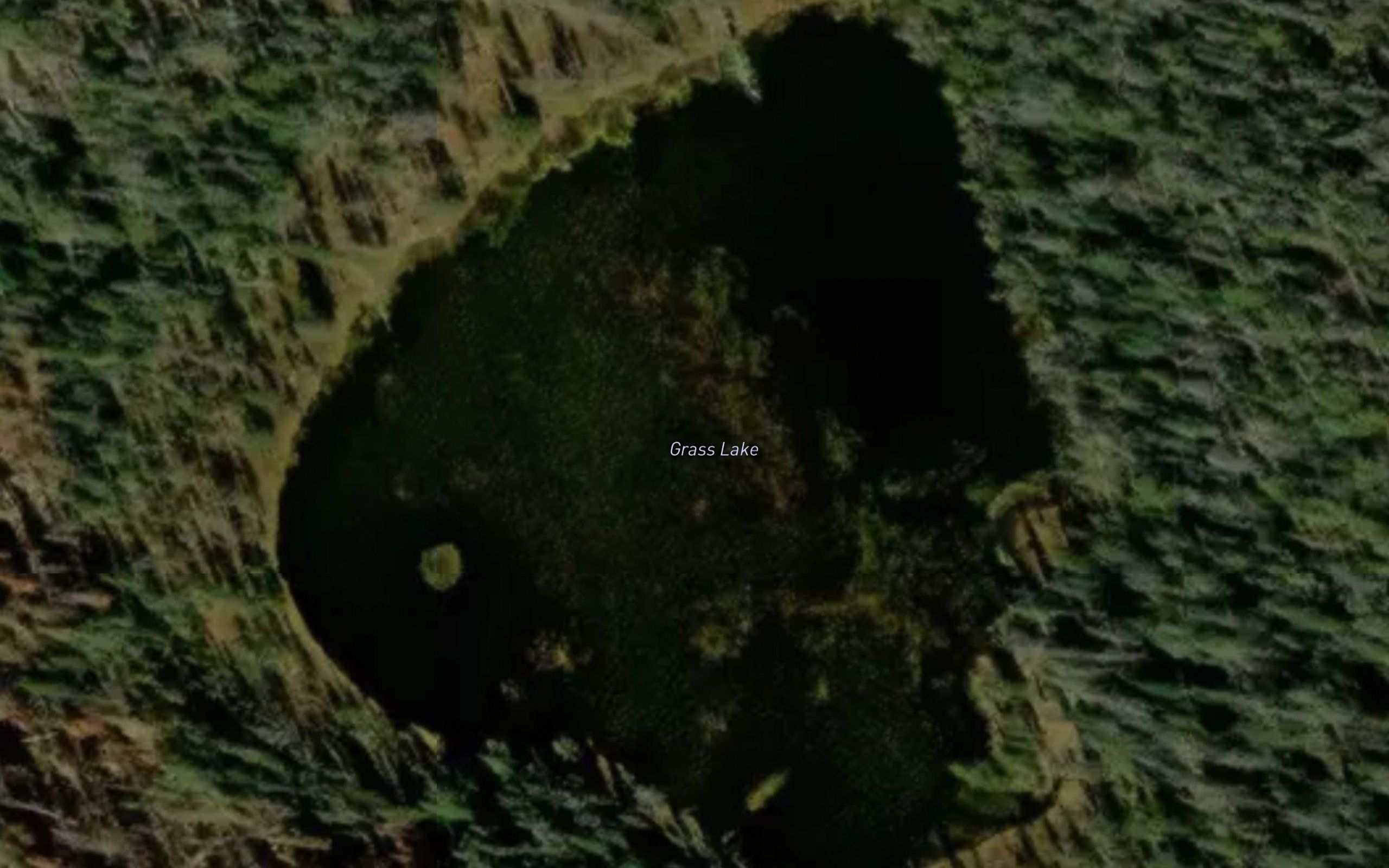Grass Lake