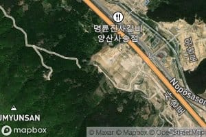 Oesongsoryuji