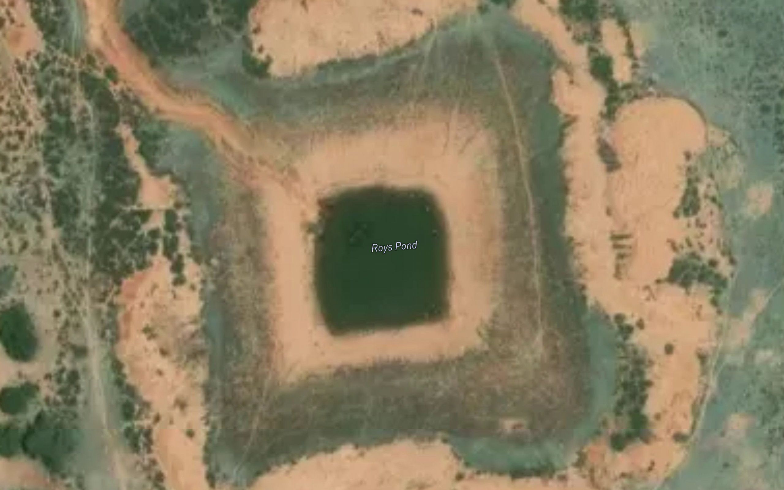 Roys Pond