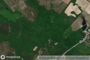 Little Beaverdam Creek