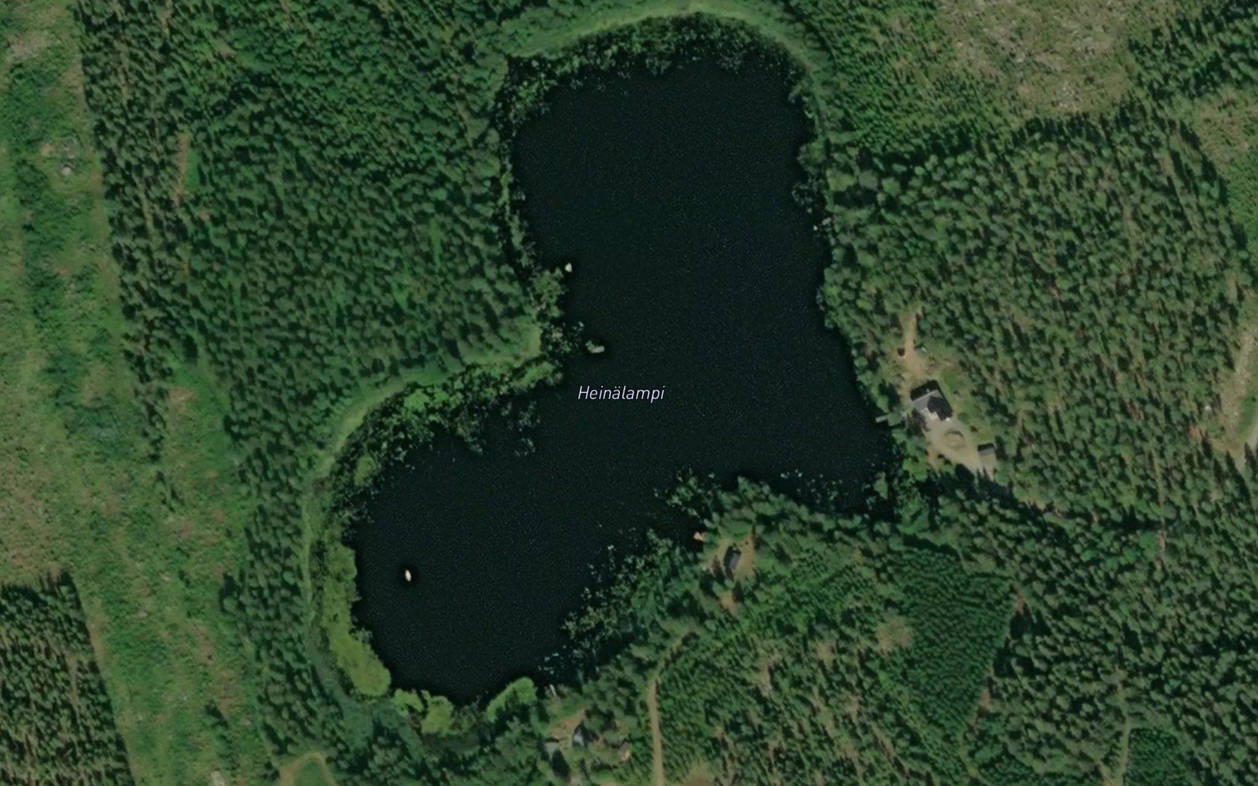 Heinalampi