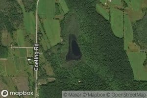 Lymans Lake
