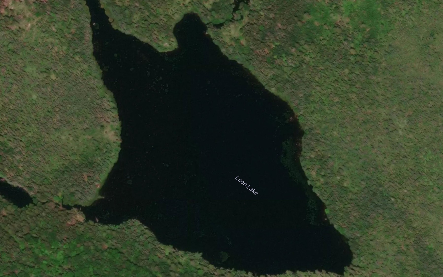 Satellite map of the Loon Lake