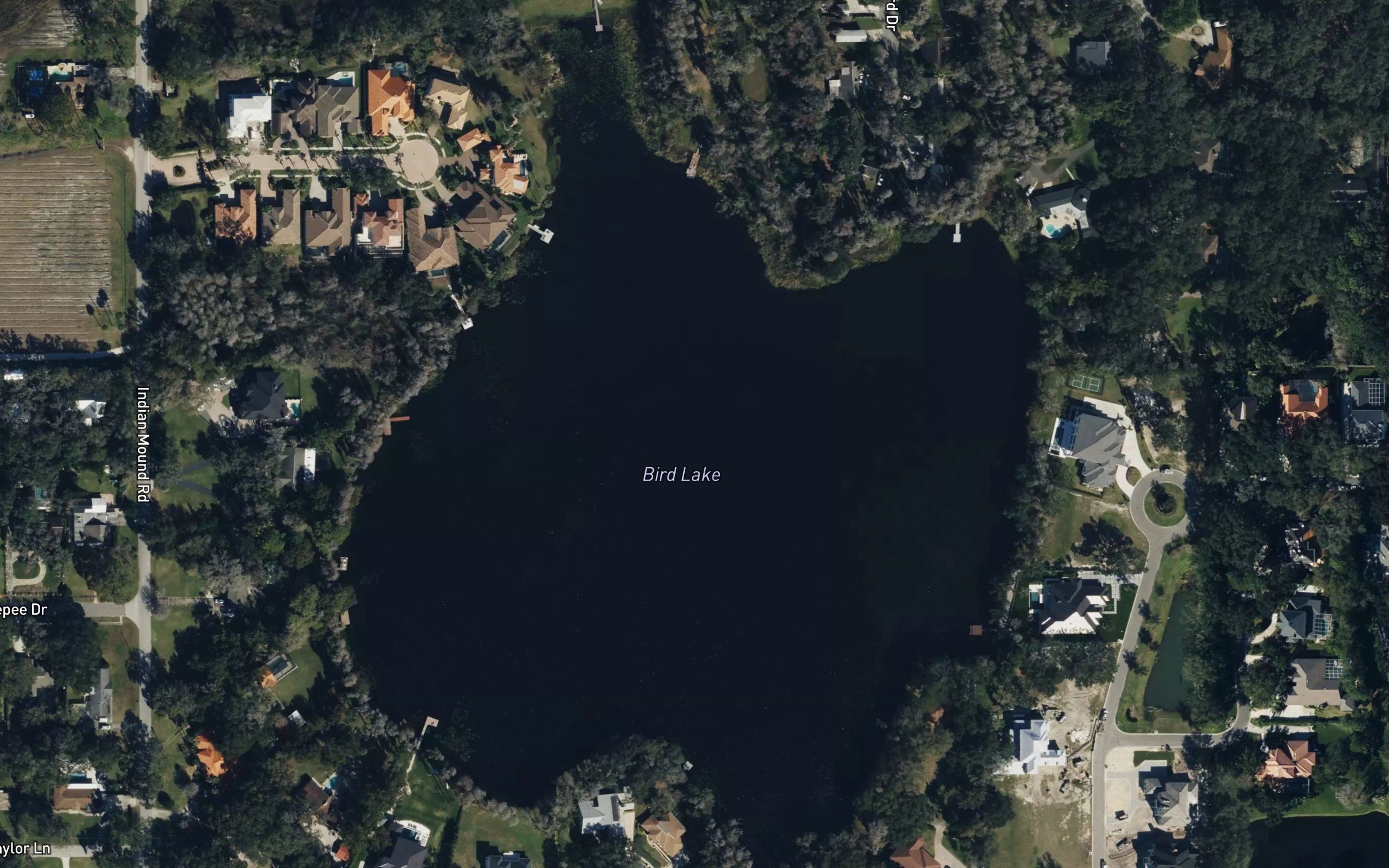 Bird Lake