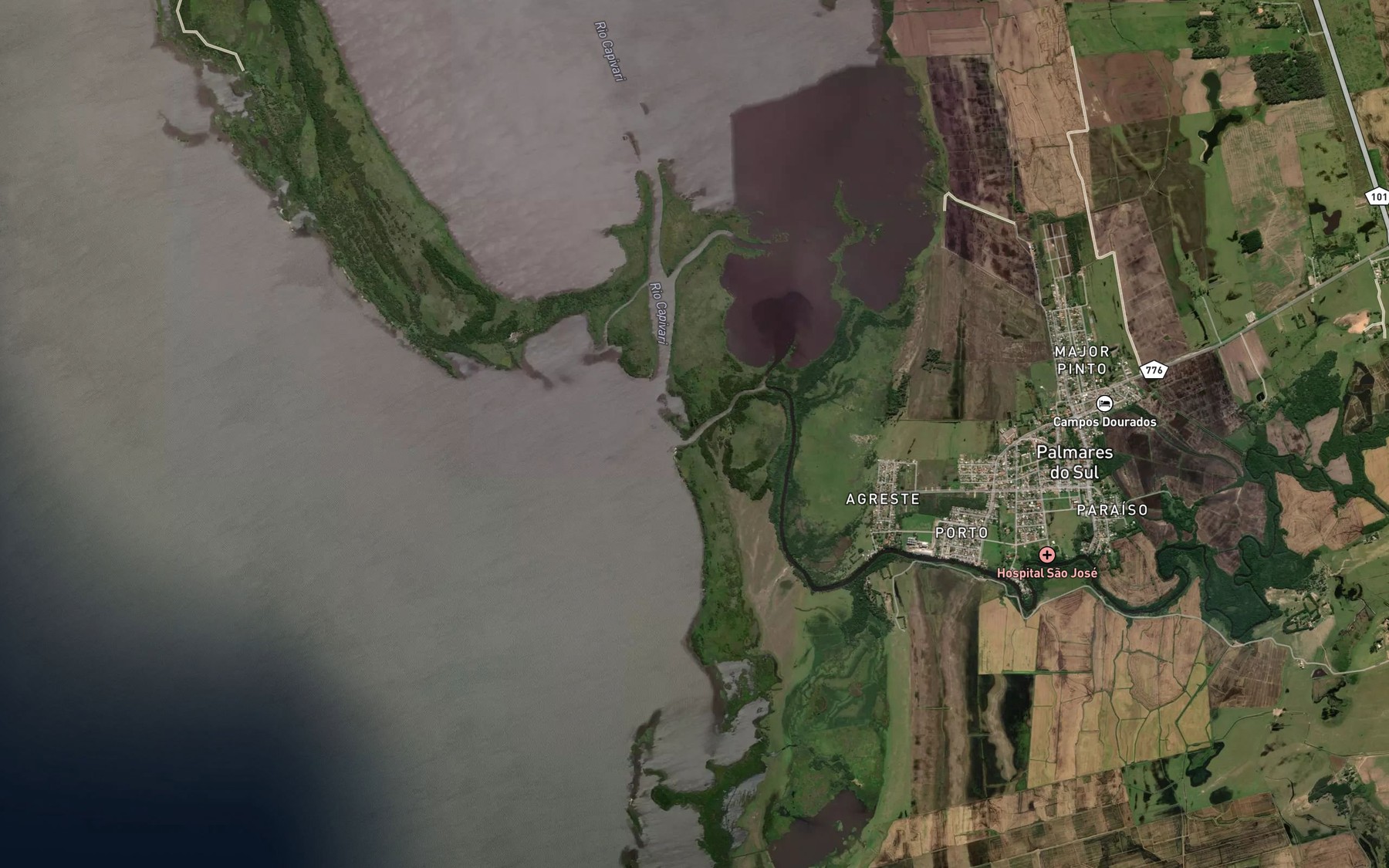 Satellite map of the Rio Palmares