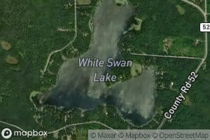 White Swan Lake