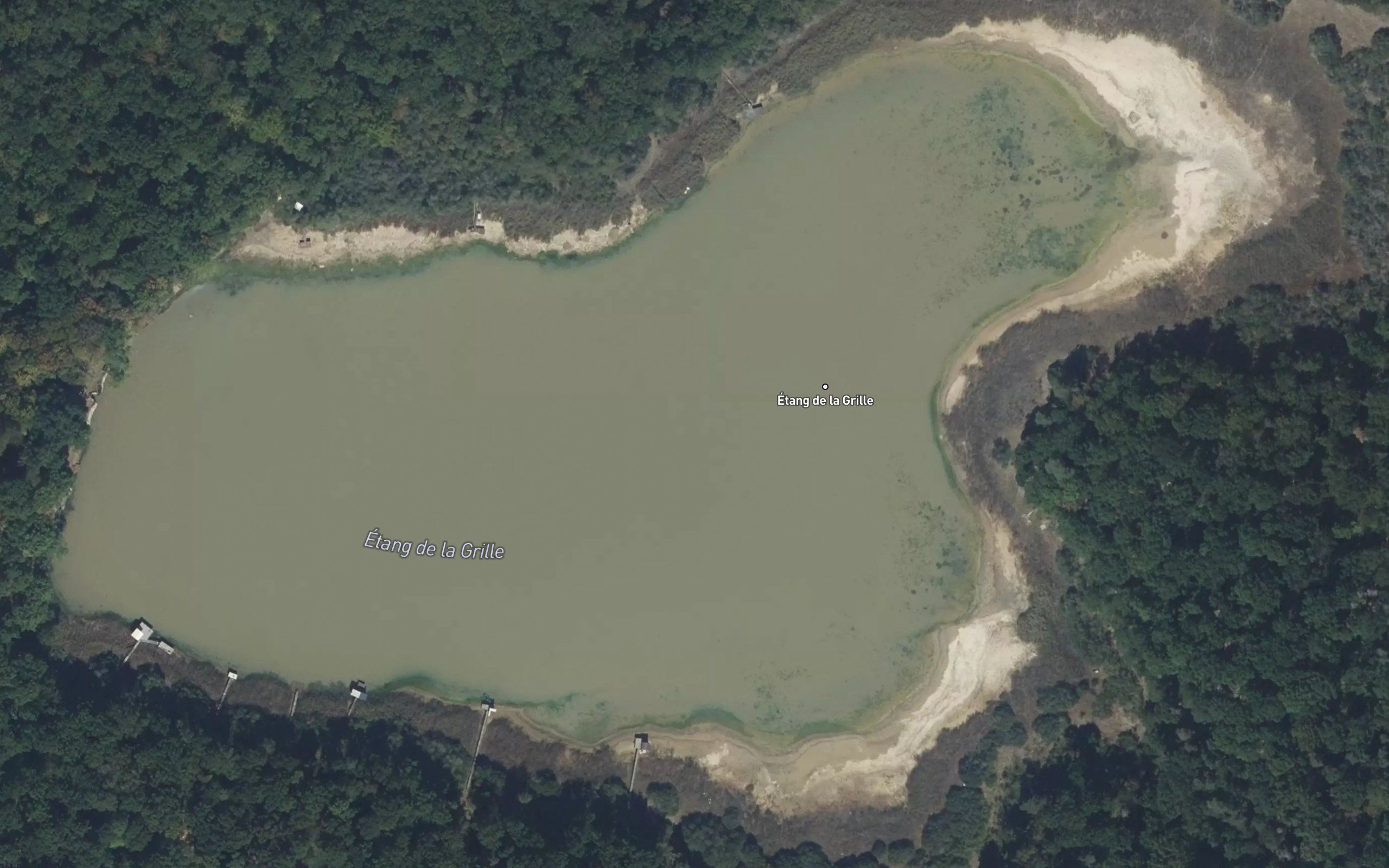 Etang de la Grille