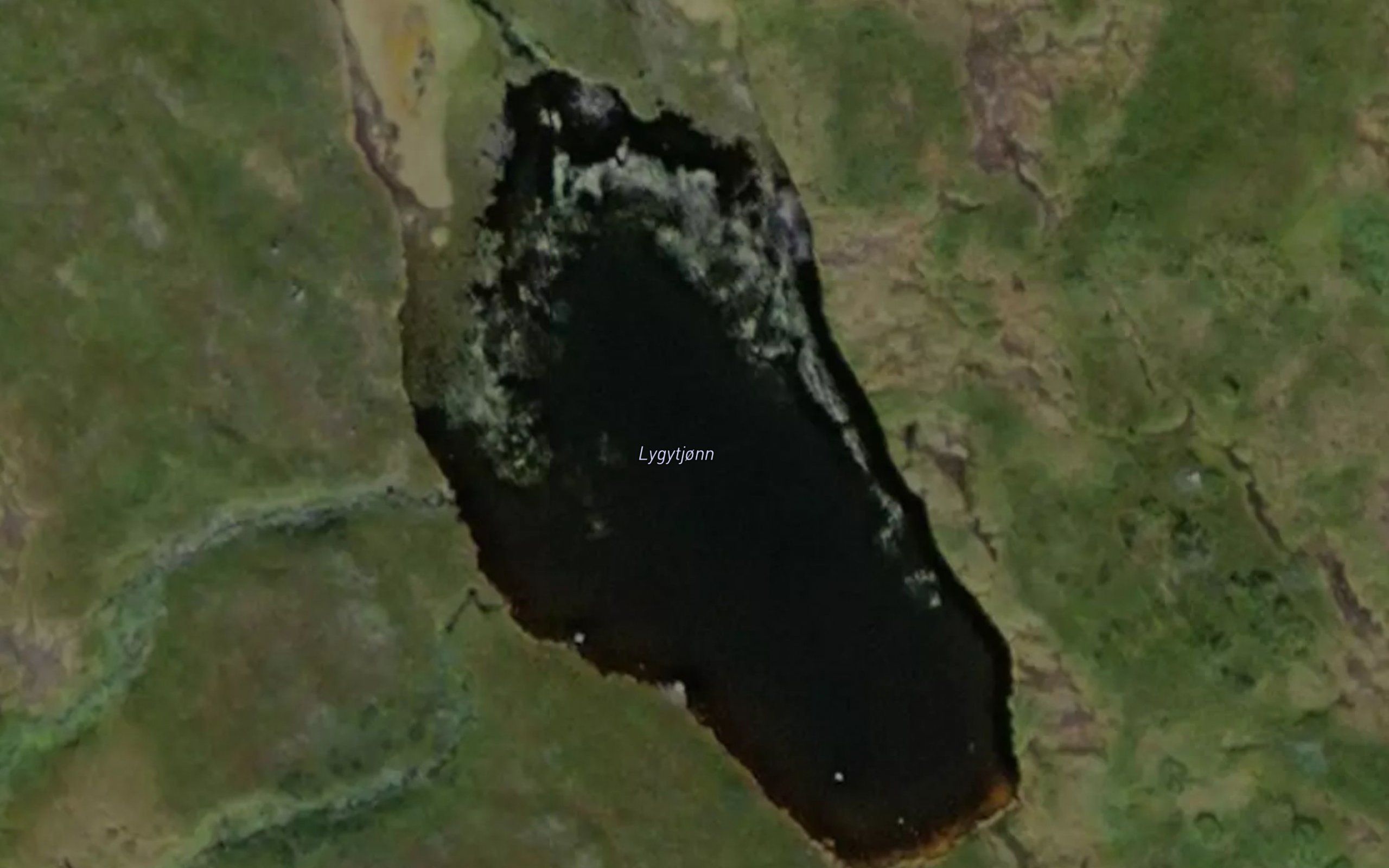 Lygytjonn