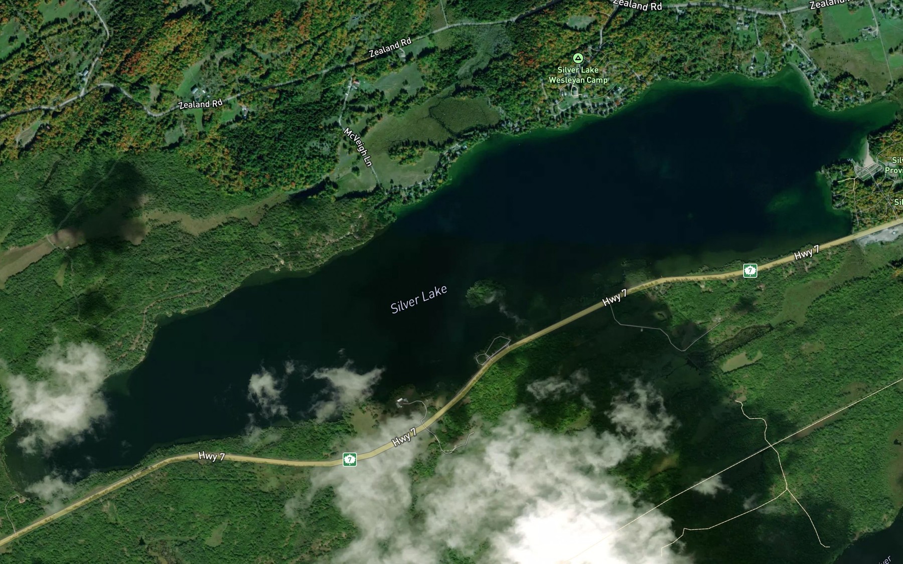 Satellite map of the Silver Lake