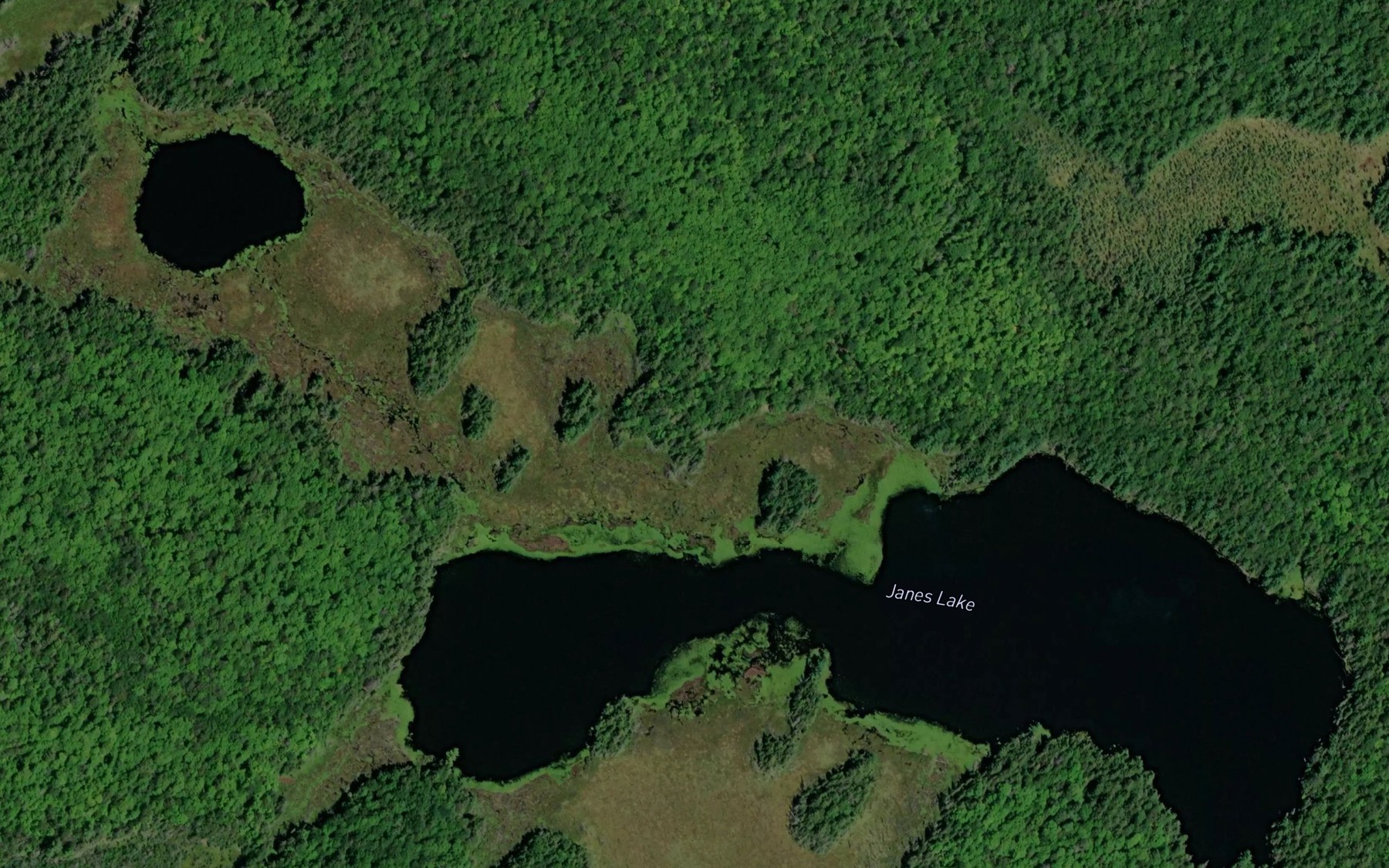 Satellite map of the Janes Lake