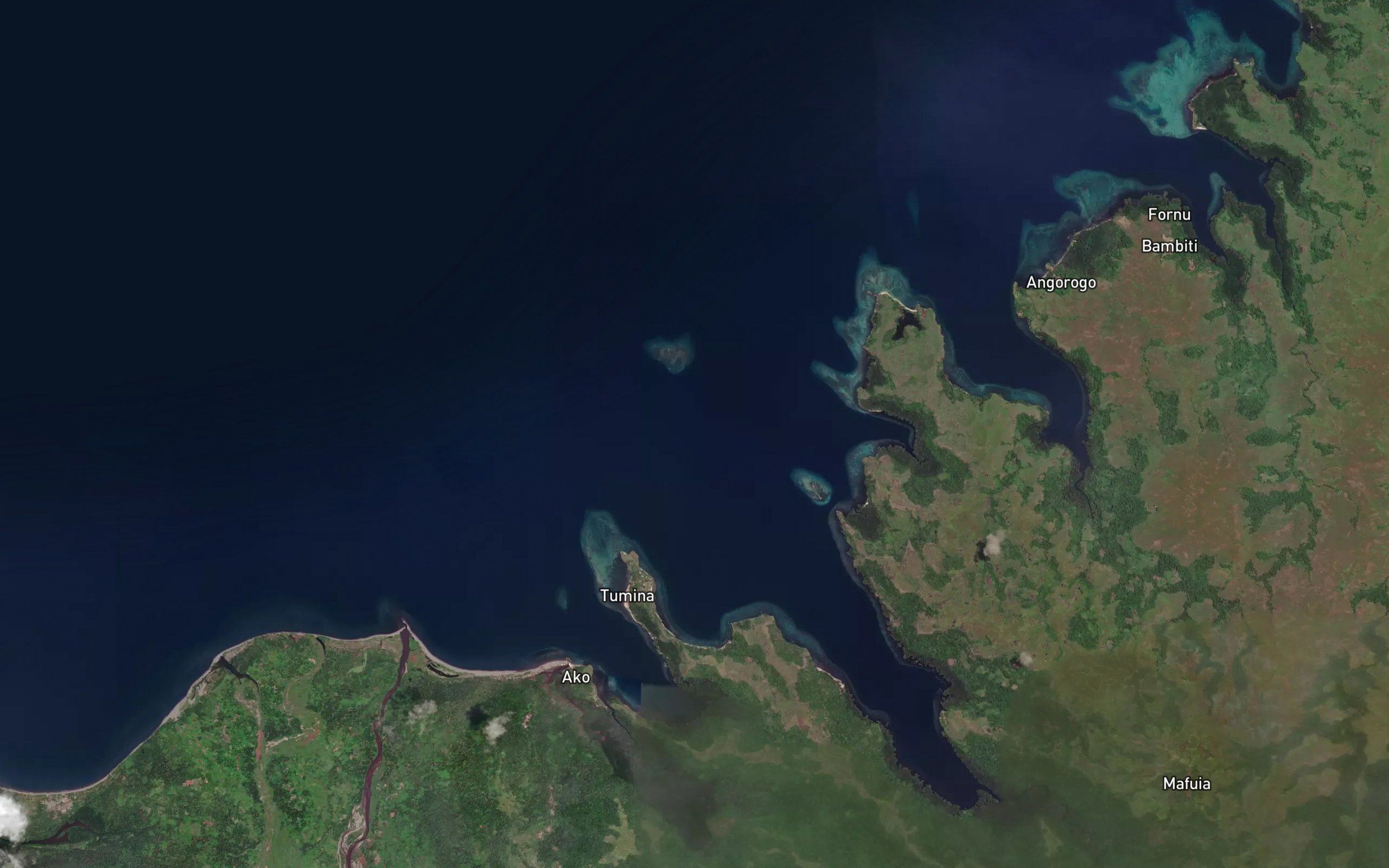 Jones Reef
