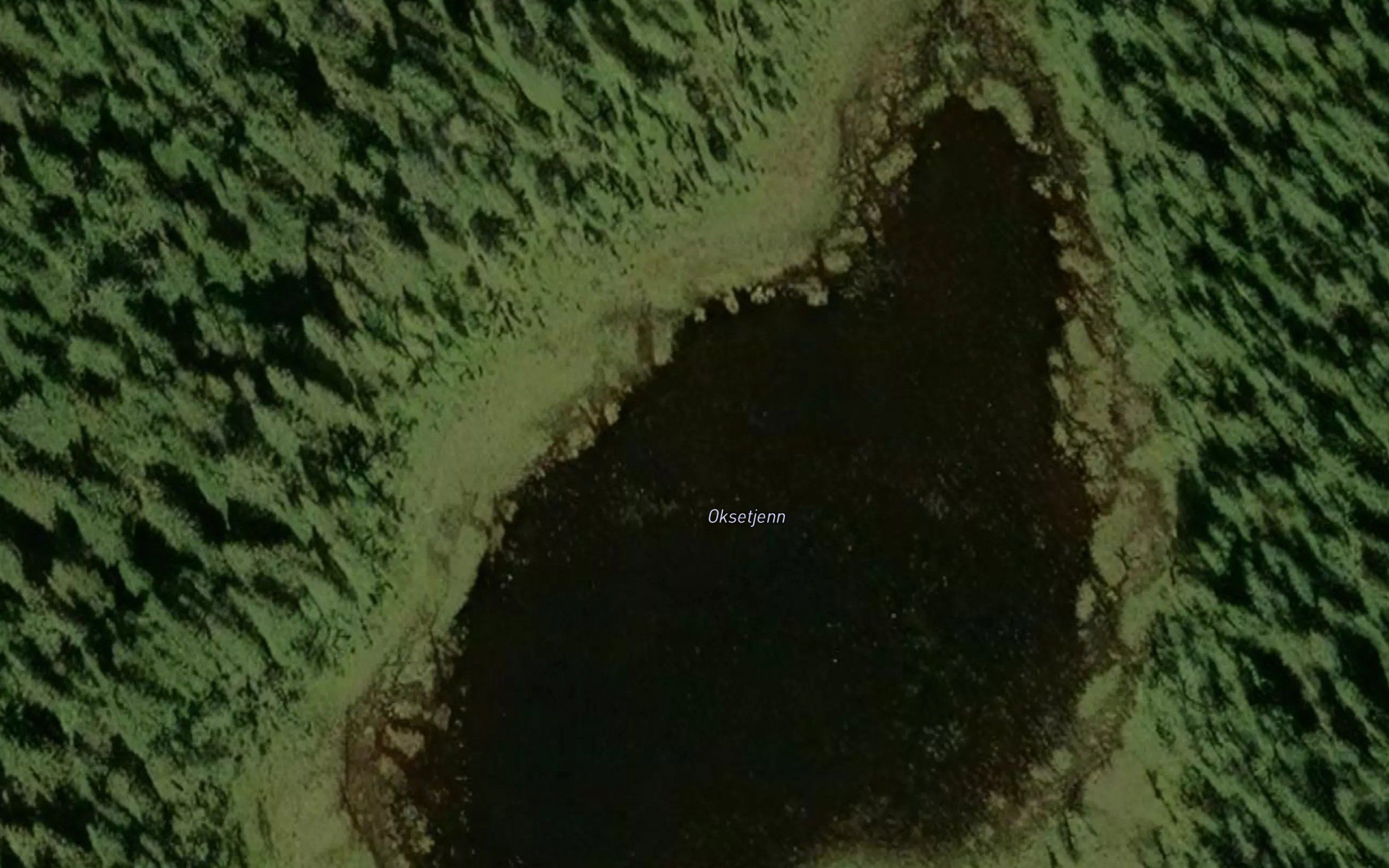 Oksetjern