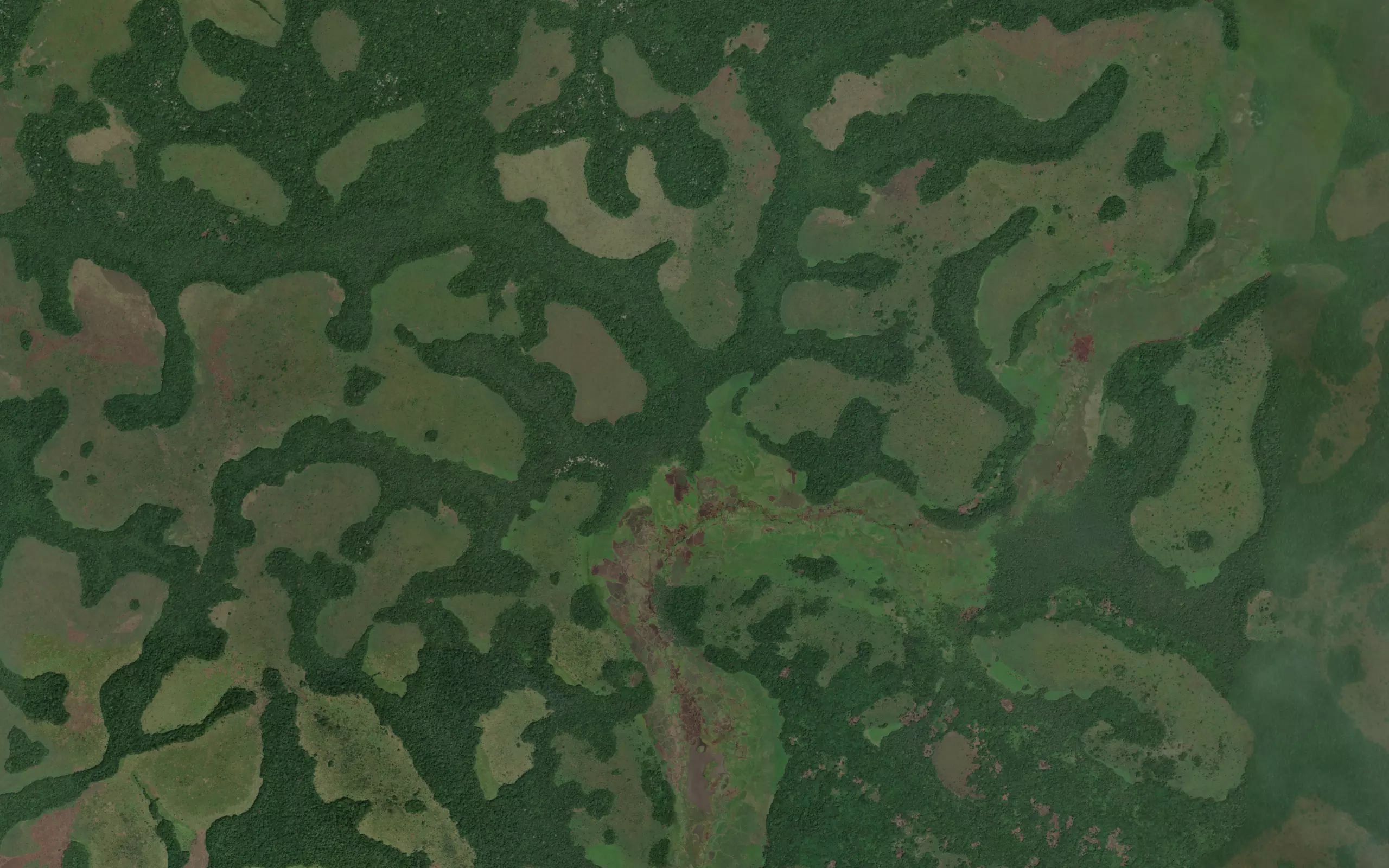 Kidunga