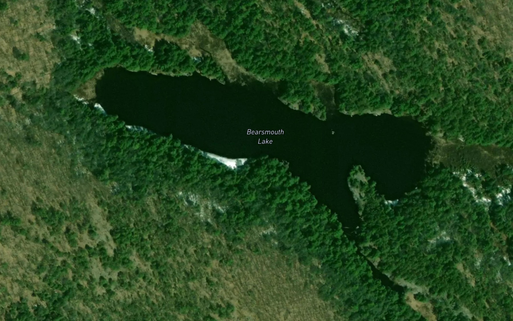 Satellite map of the Bearsmouth Lake